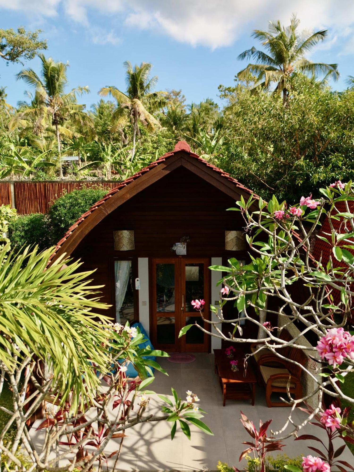Jungle Paradise