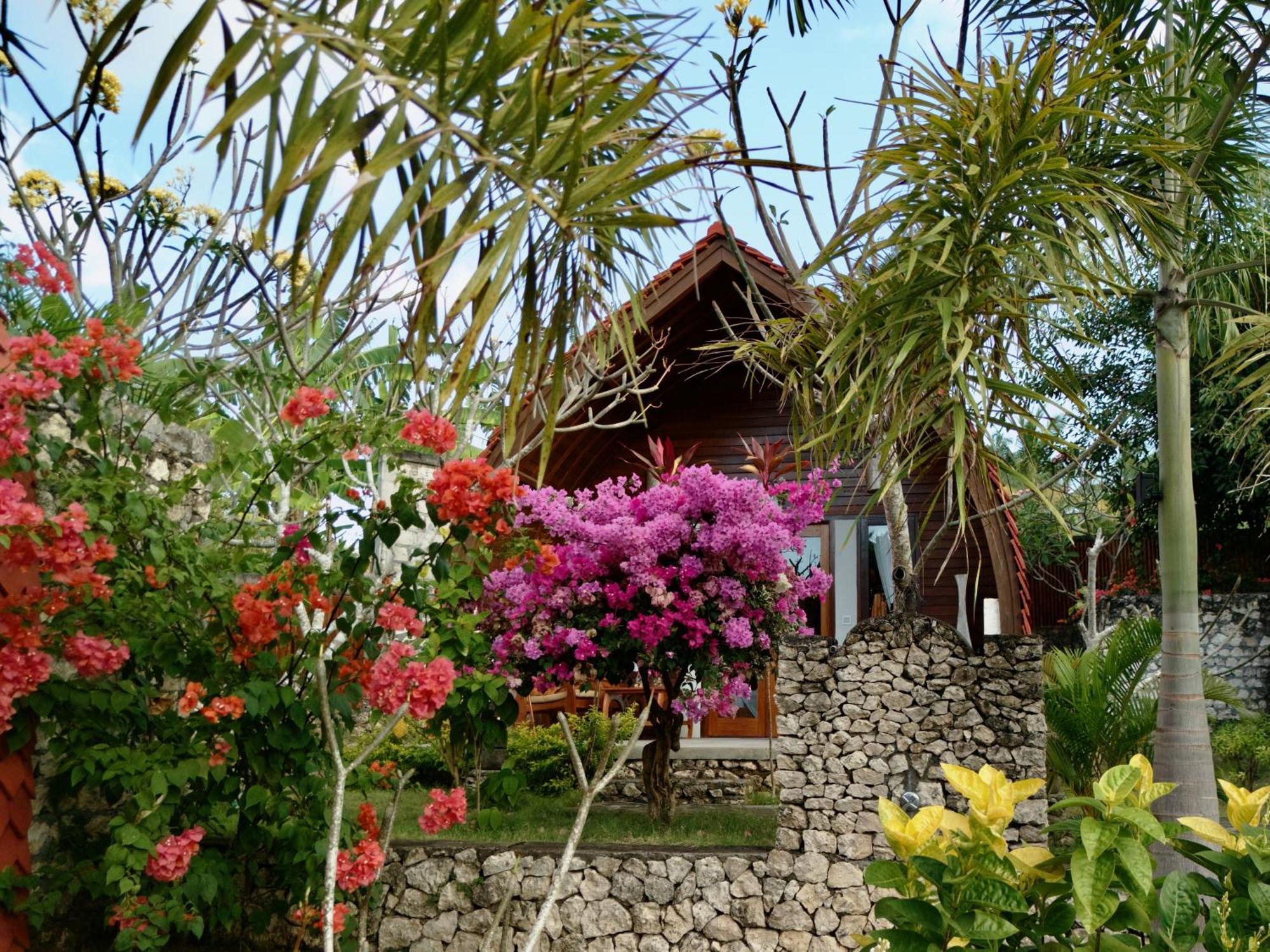 Jungle Paradise Holiday park 3*