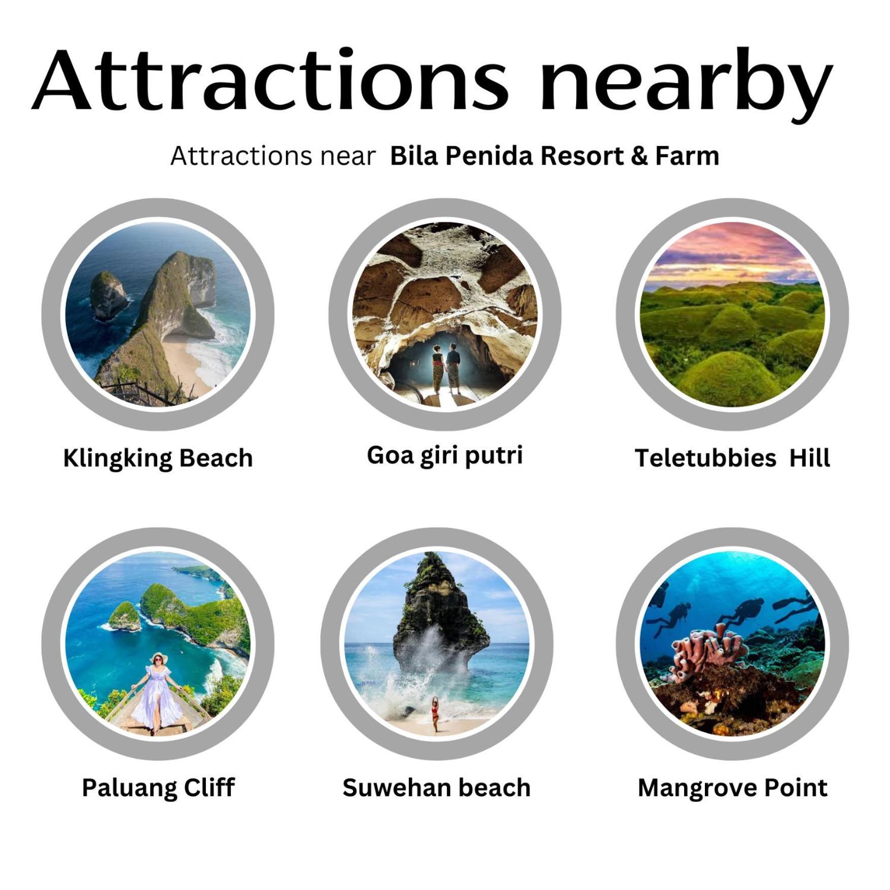 Holiday park Bila Penida & Farm Batununggul