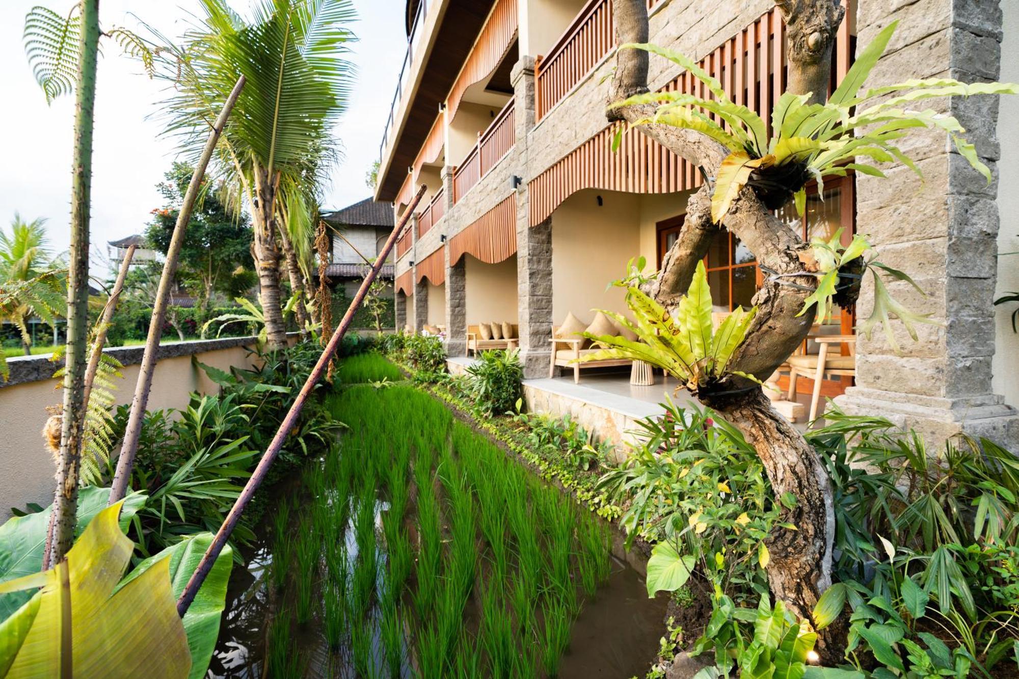 Hotel Bliss 4*