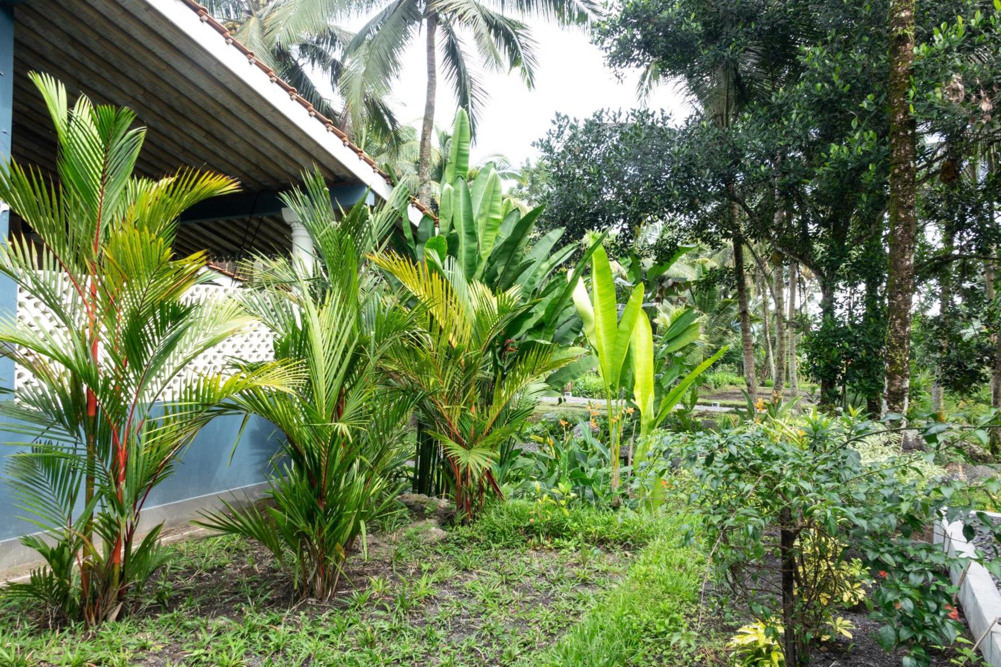 Darmada Eco Holiday park 4*