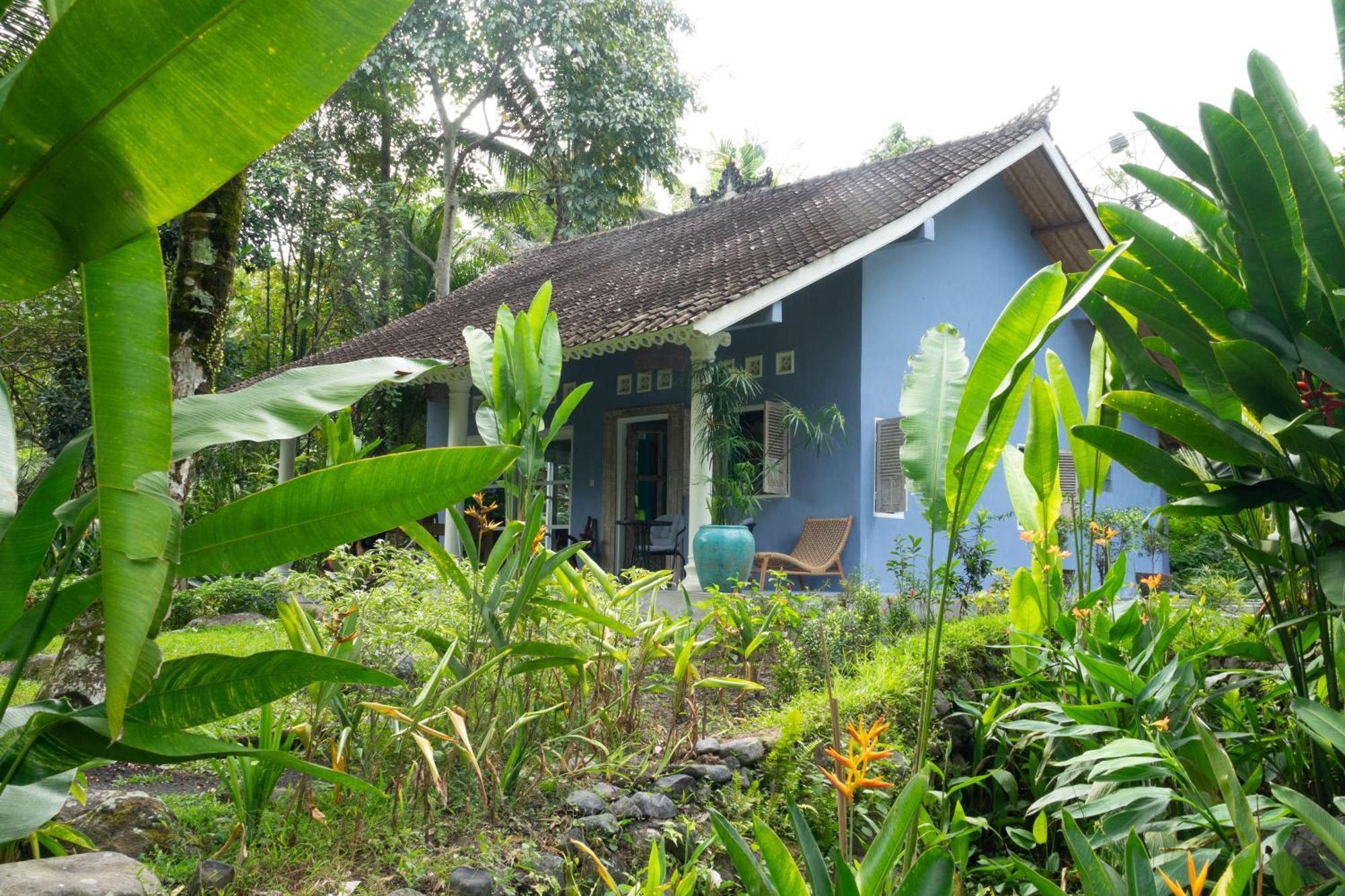 Darmada Eco Holiday park Sidemen (Bali)