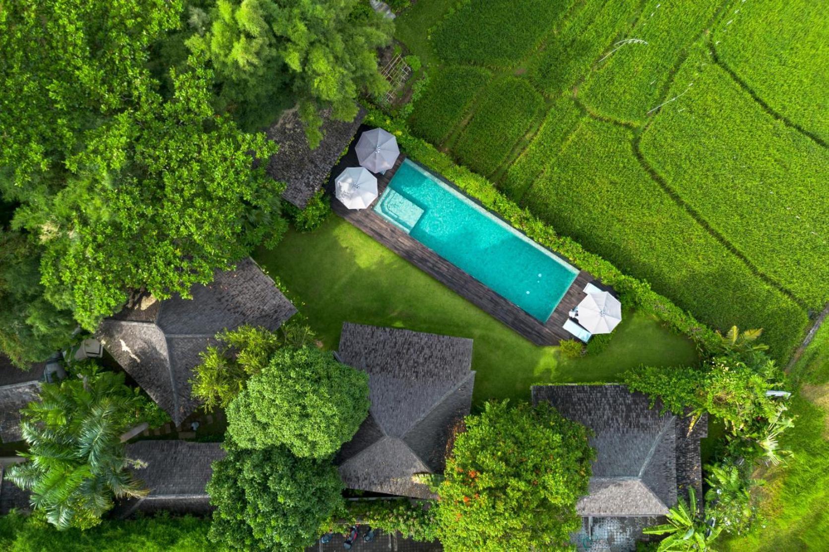 Artis Canggu (Bali)