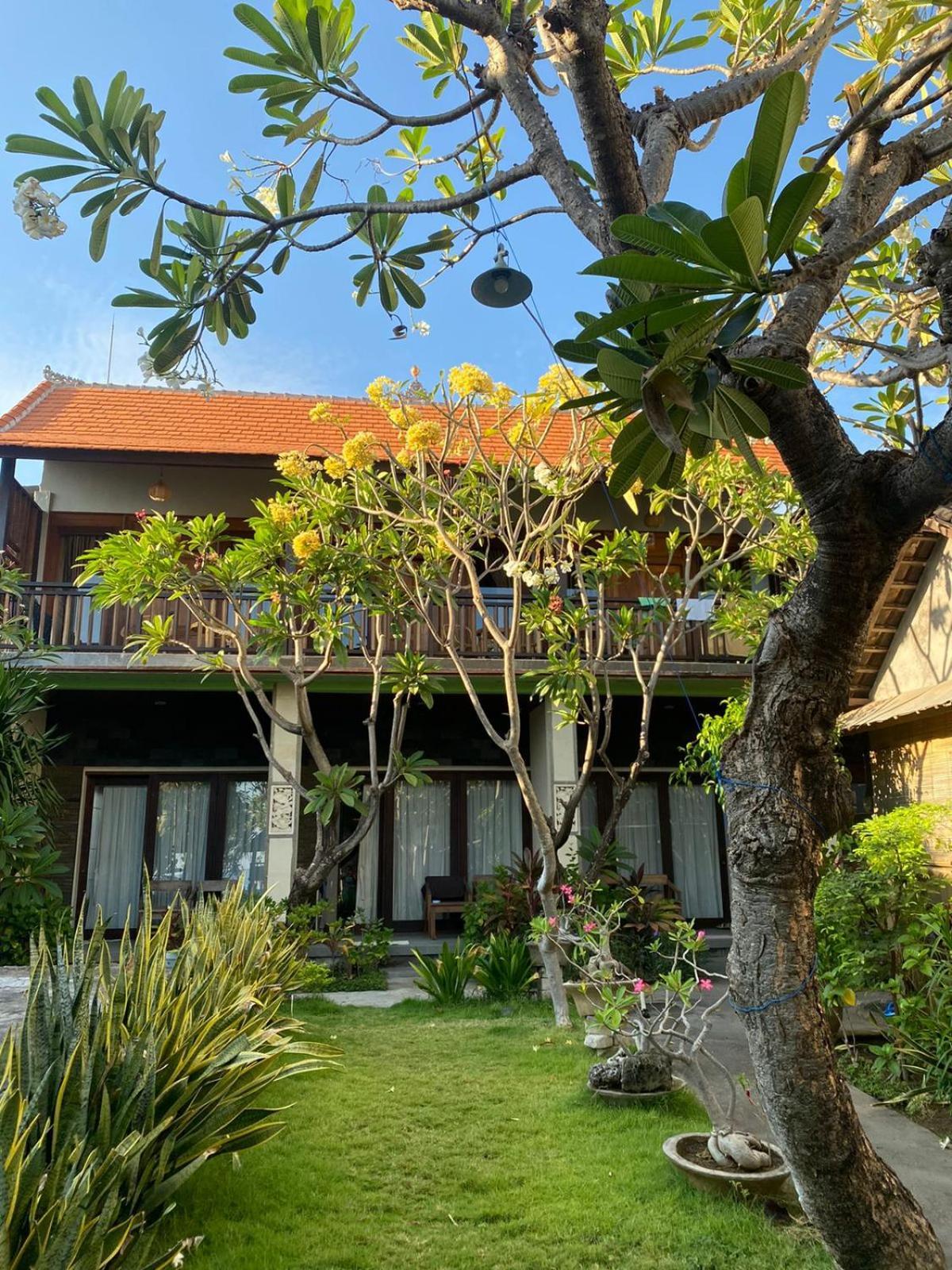 Putra'lebah Amed (Bali)