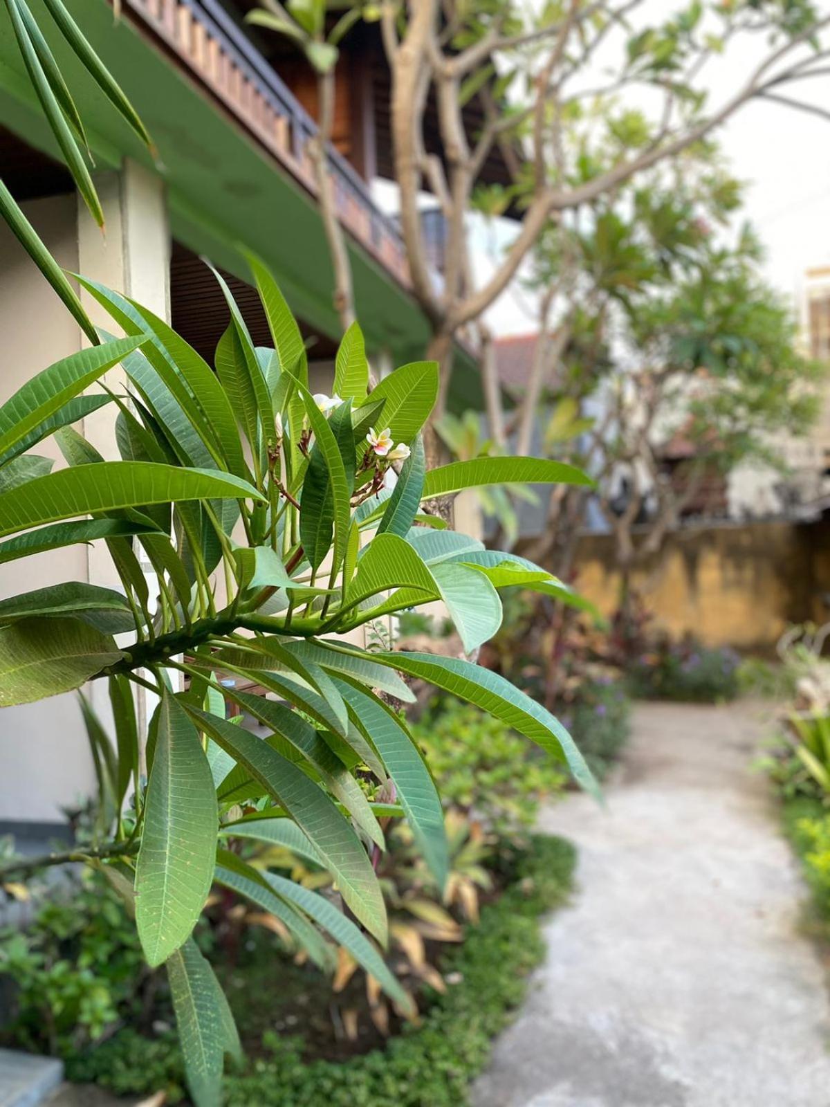 Guest house Putra'lebah *