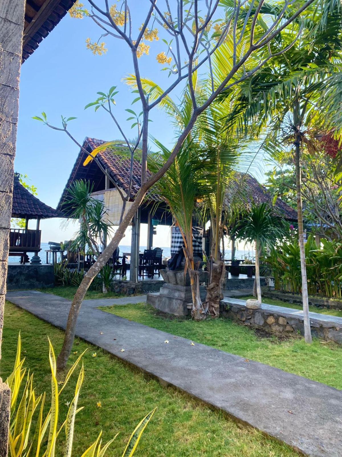 Putra'lebah Amed (Bali)