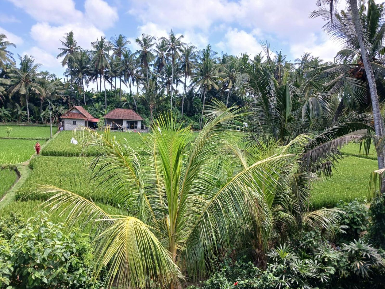 Homestay Sunset Pandawa Ubud (Bali)