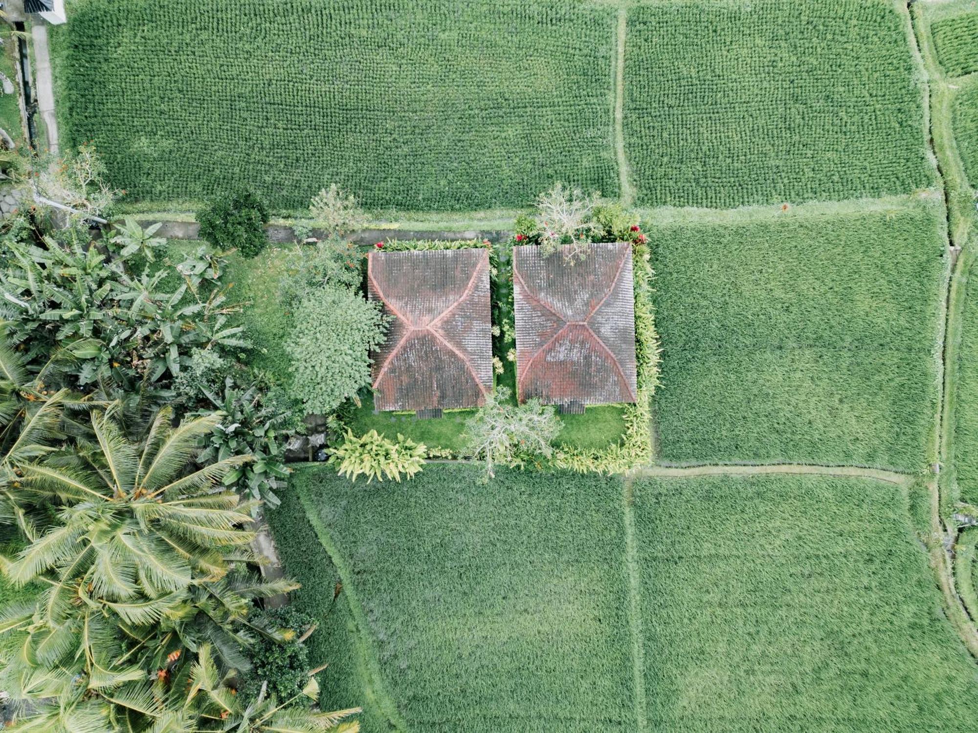 Guest house Umadesa Ubud (Bali)