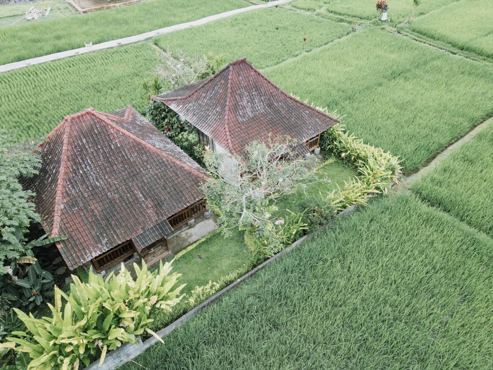 Umadesa Guest house Ubud (Bali)