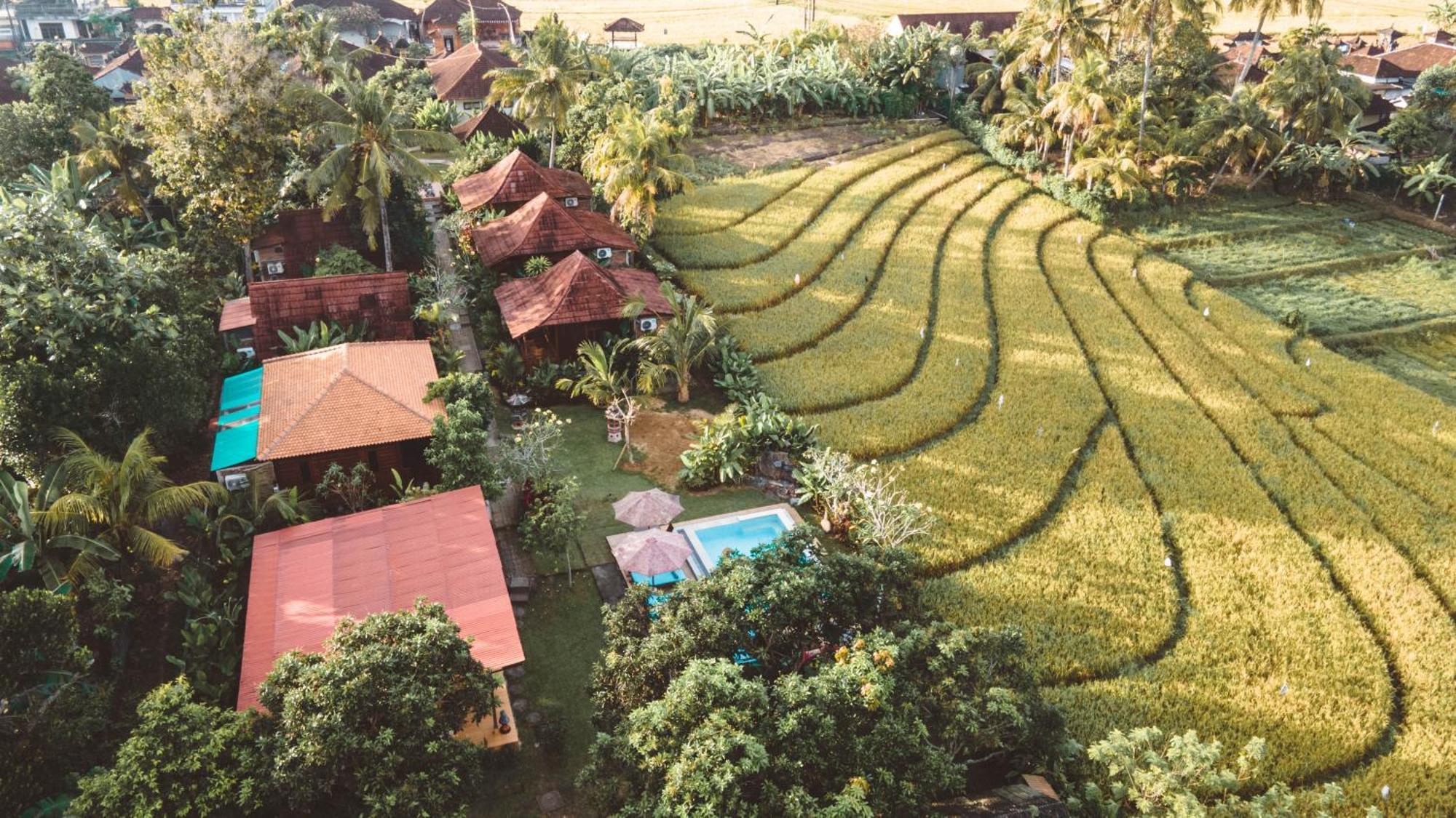 Homestay The Dukuh Retreat Tabanan (Bali)