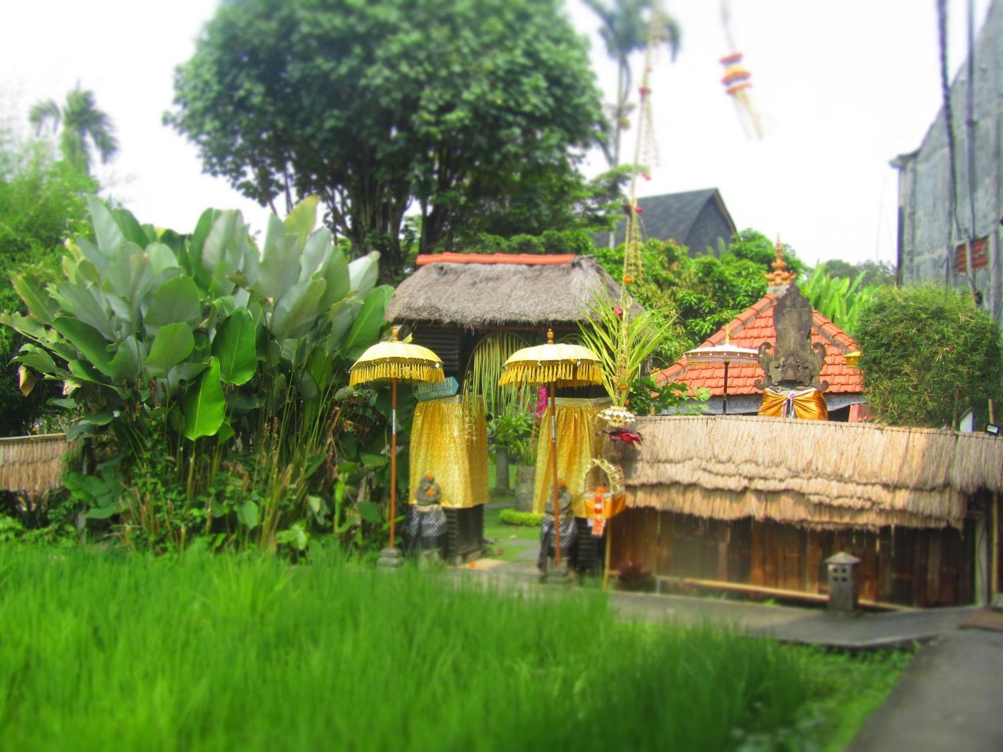 Hidden Yone Village