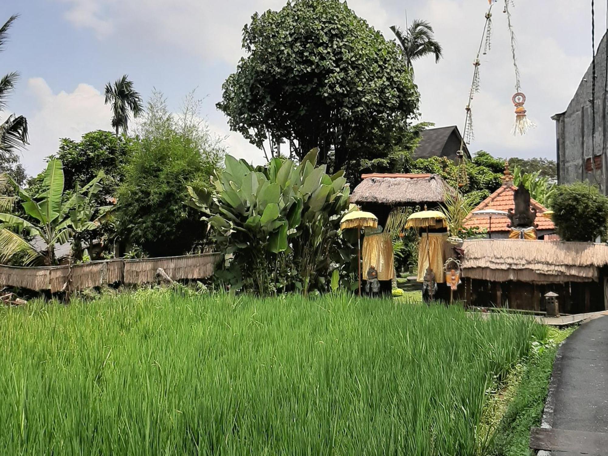 Hidden Yone Village Holiday park