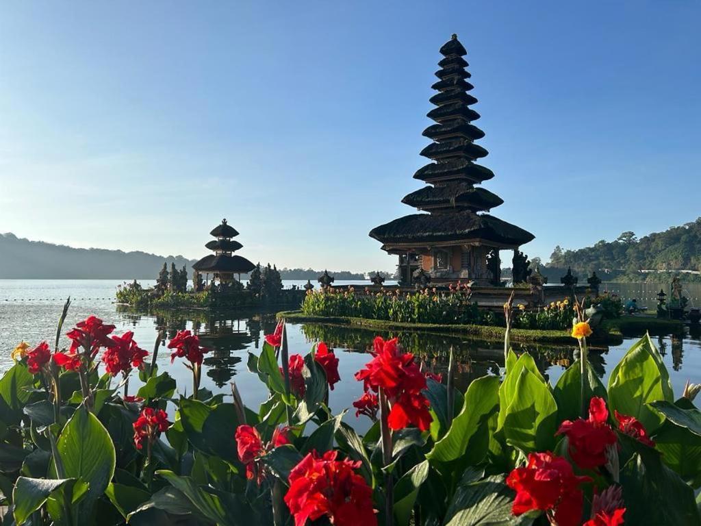 Guest house Umah De Madya & Rooftop De Madya Munduk (Bali)