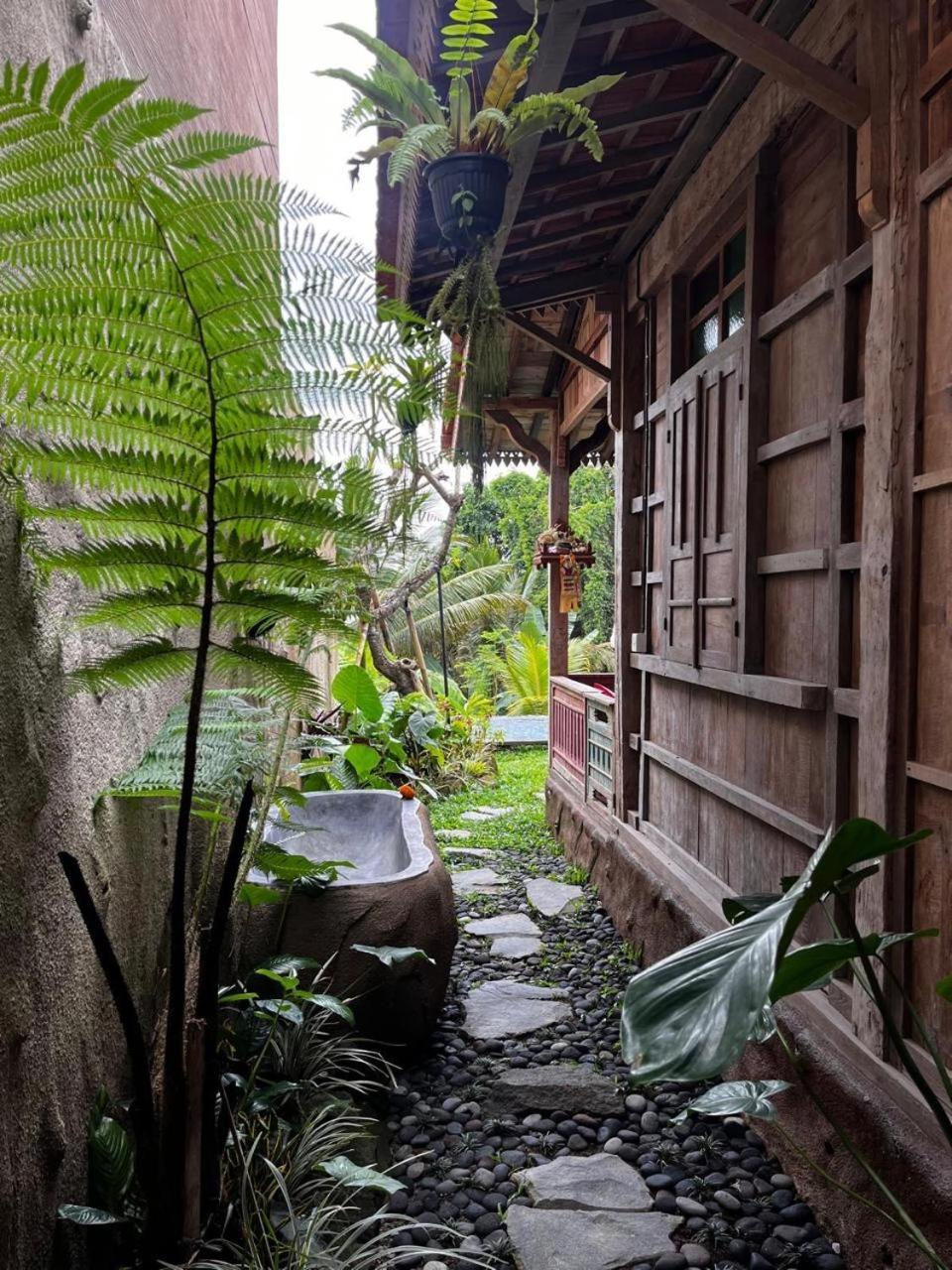Villa Umah Capung Sebatu Tegallalang (Bali)