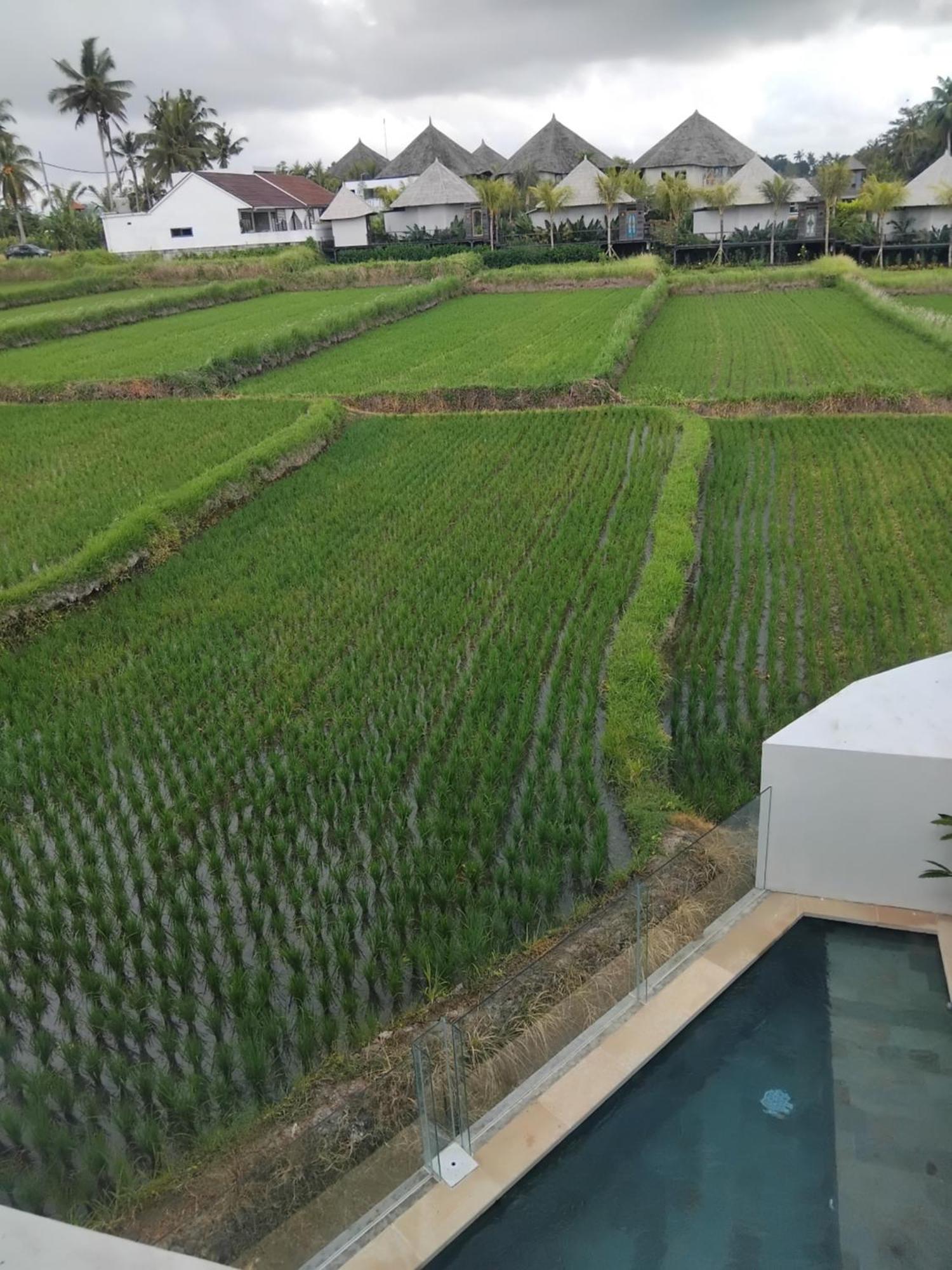 Hotel Sujiwa & 3*