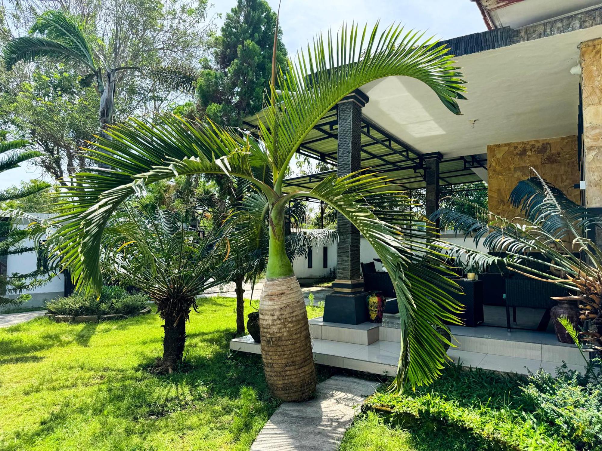 Apartemen Seva