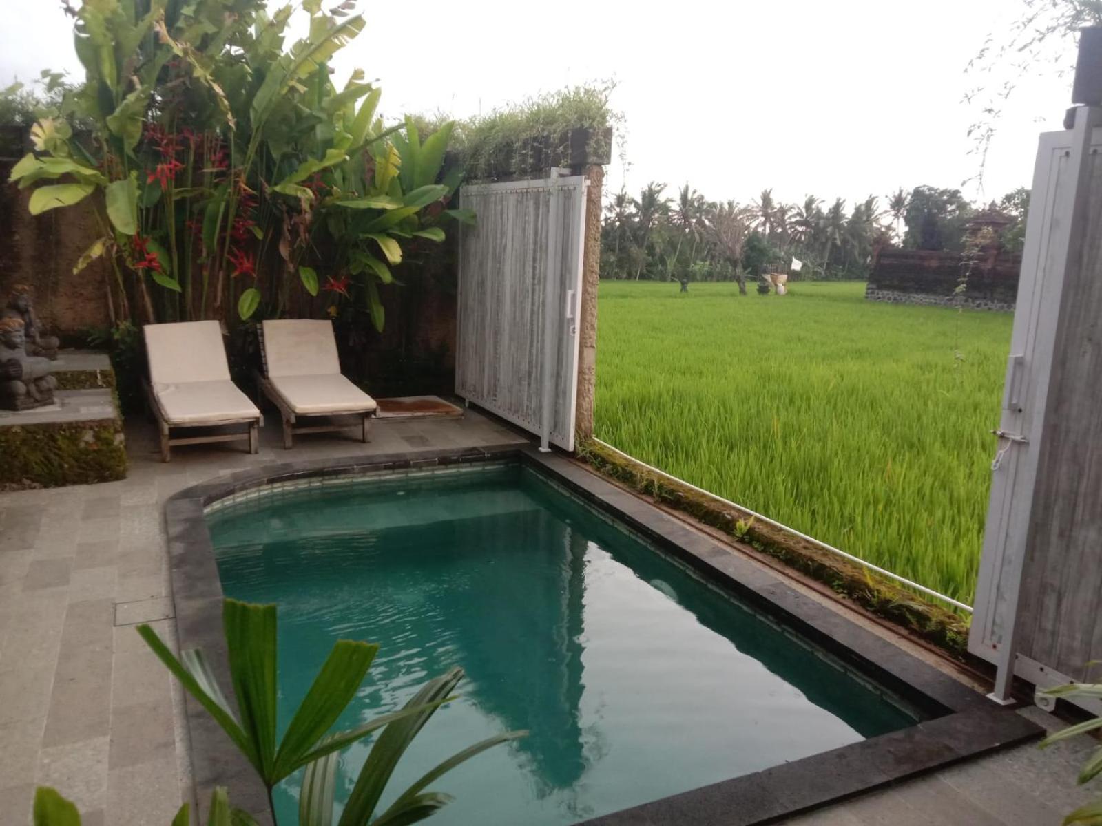 Sujiwa & Ubud (Bali)
