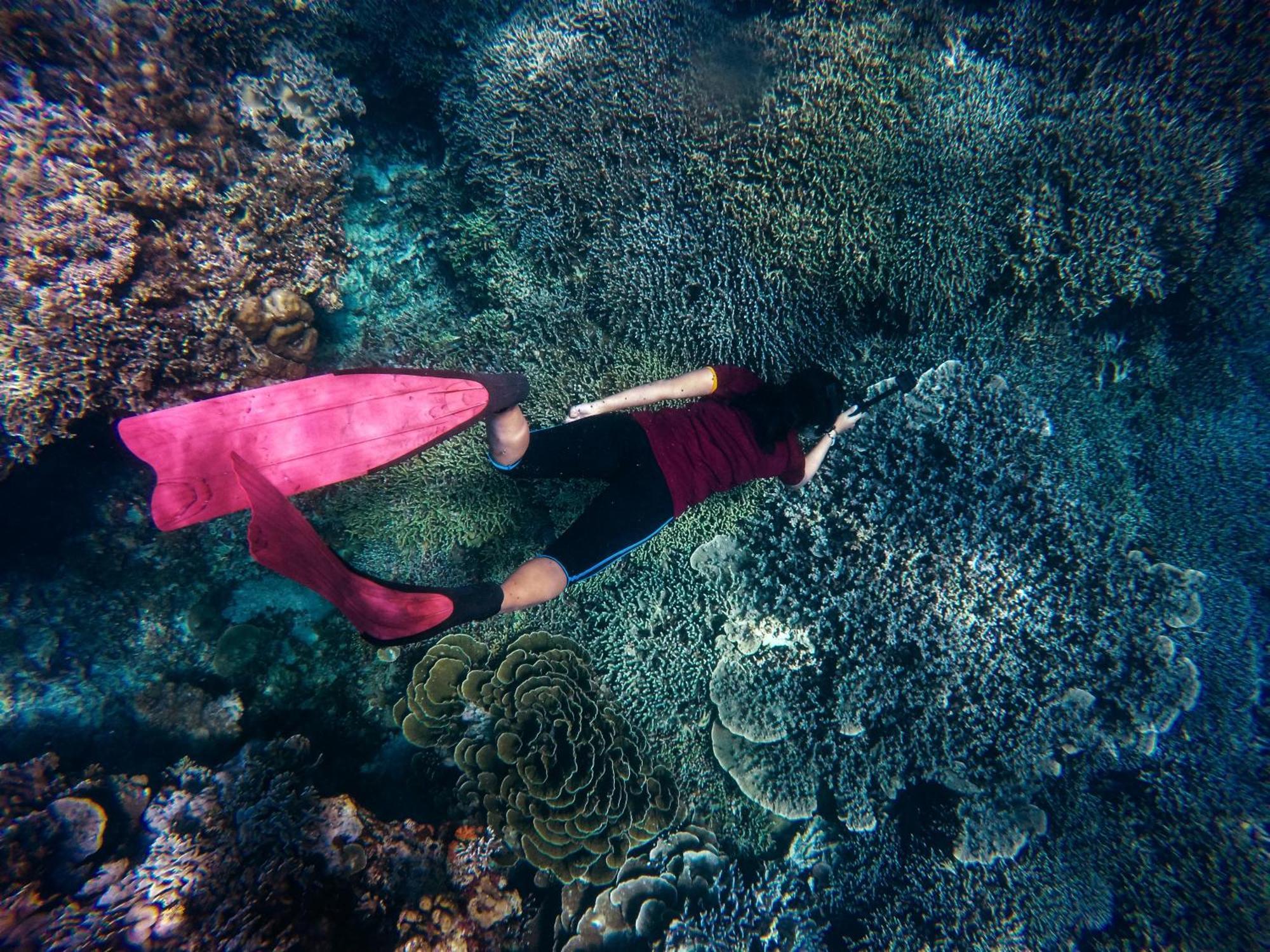 Taman liburan Ashyana Candi Dasa (Bali)