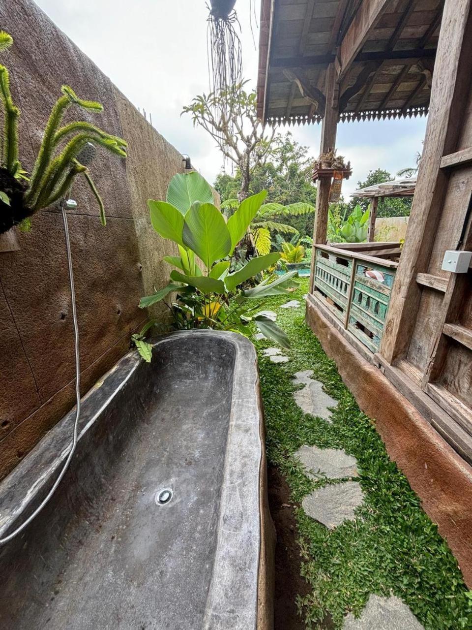 Umah Capung Sebatu *