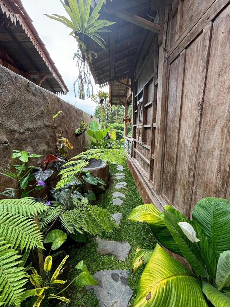 Umah Capung Sebatu