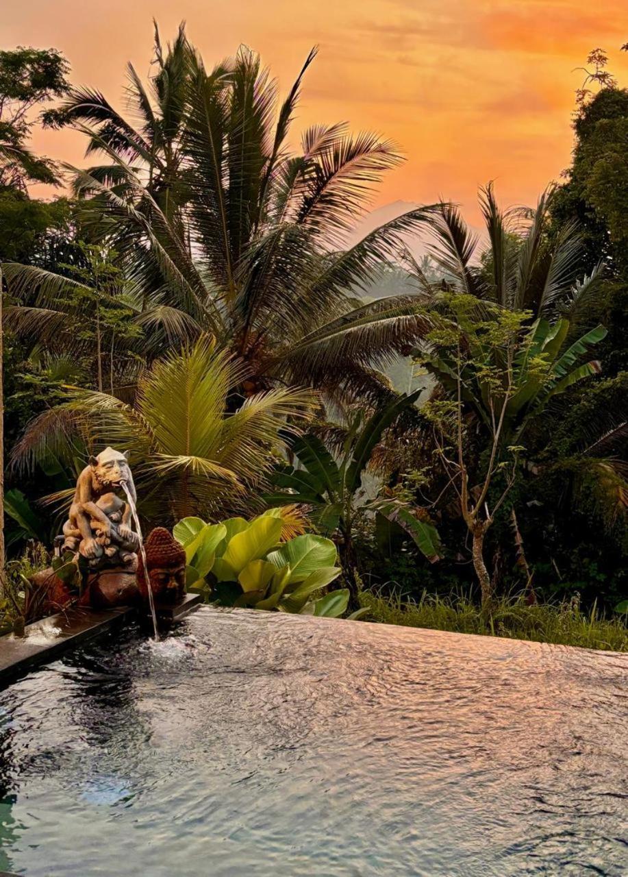 Villa Umah Capung Sebatu