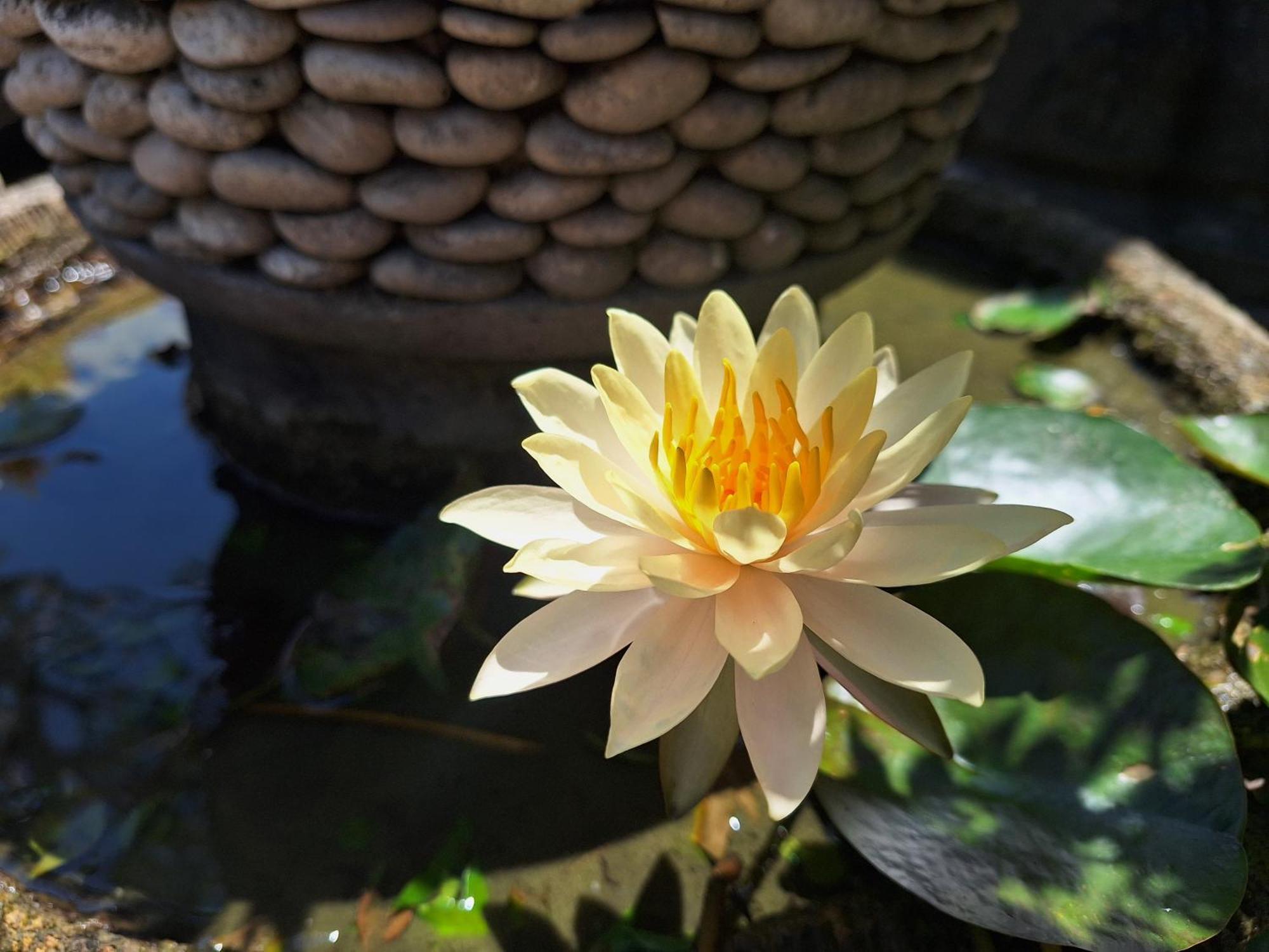 Villa Mandox Bali Ungasan (Bali)