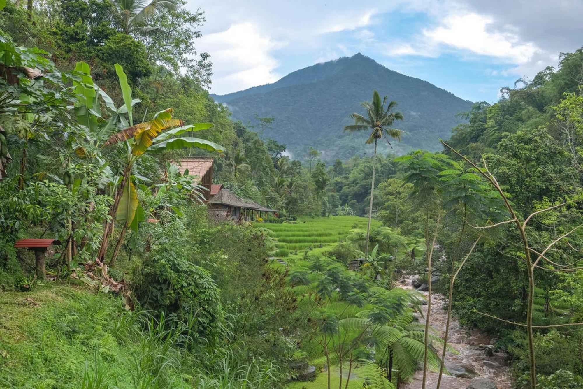 Villa Keuma & Resto By The Lavana Jatiluwih