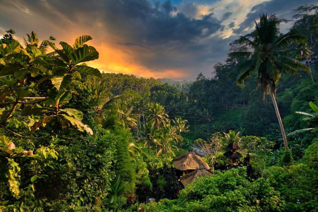 Heaven View 5 B Apartment Ubud (Bali)