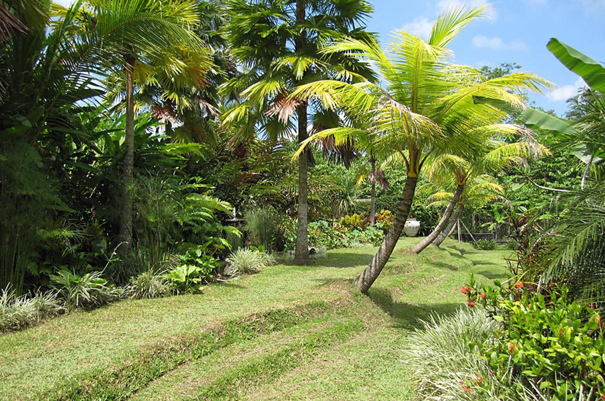 Jendela Di Bali Villa Tegallalang (Bali)
