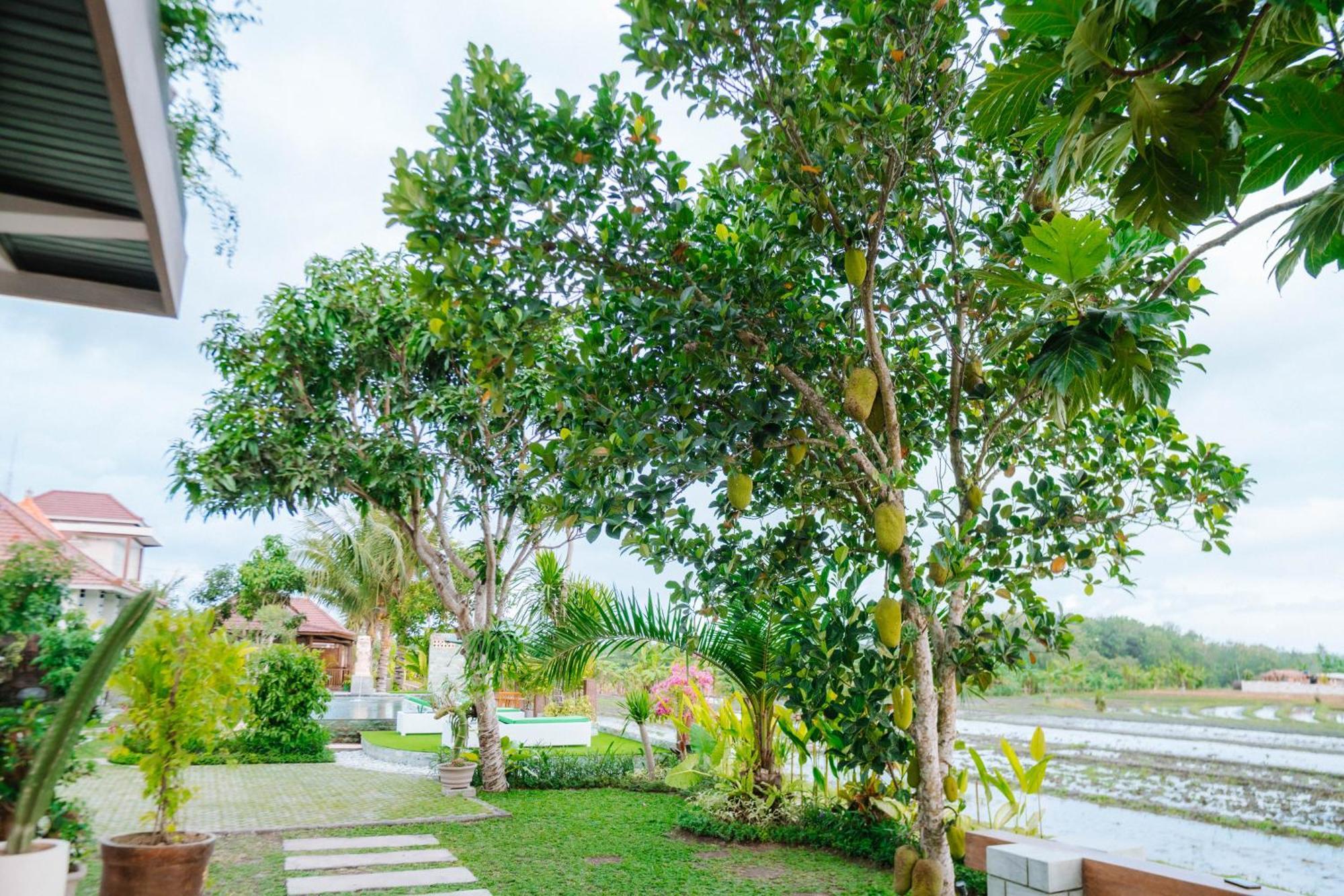 Hotel Point Retreats
