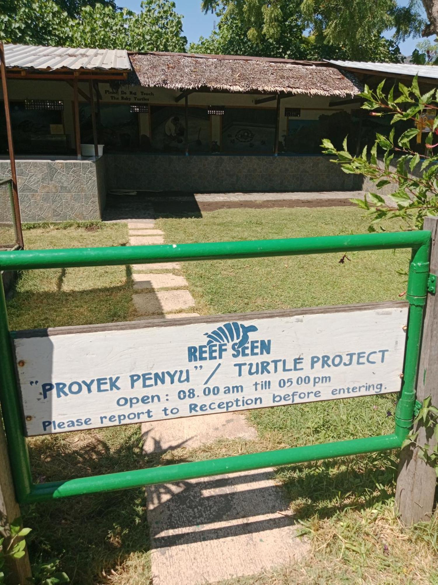 The & Turtle Sanctuary