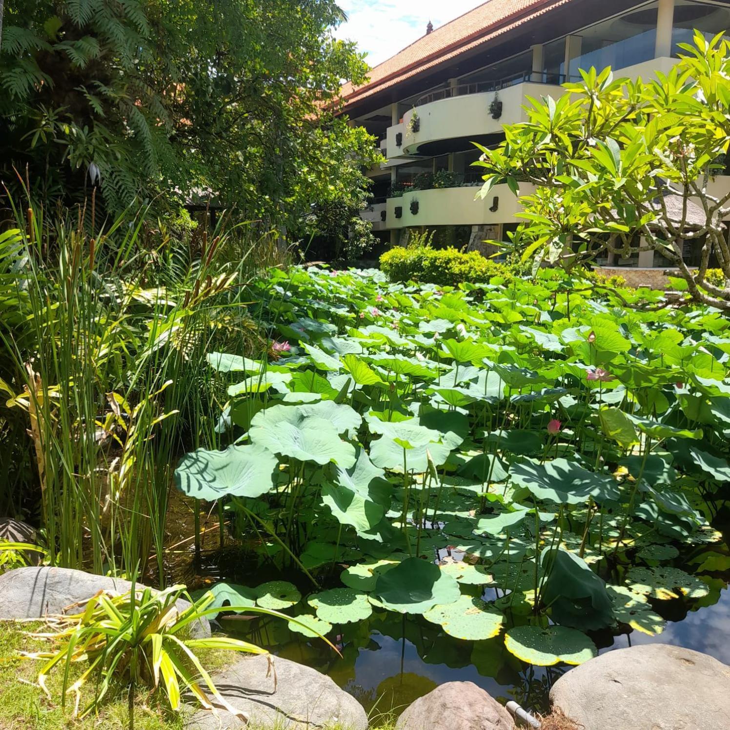 The Royal Bali 5* Seminyak (Bali)