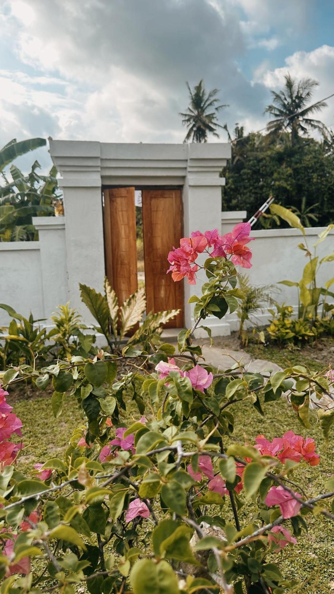 Armonia * Ubud (Bali)