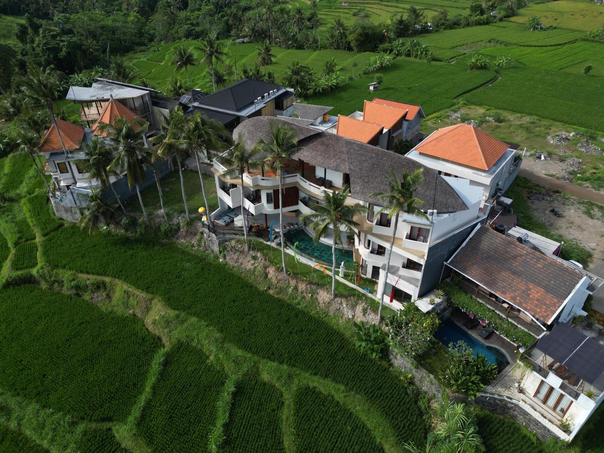 The Bodhi Leaf Wellness Saba