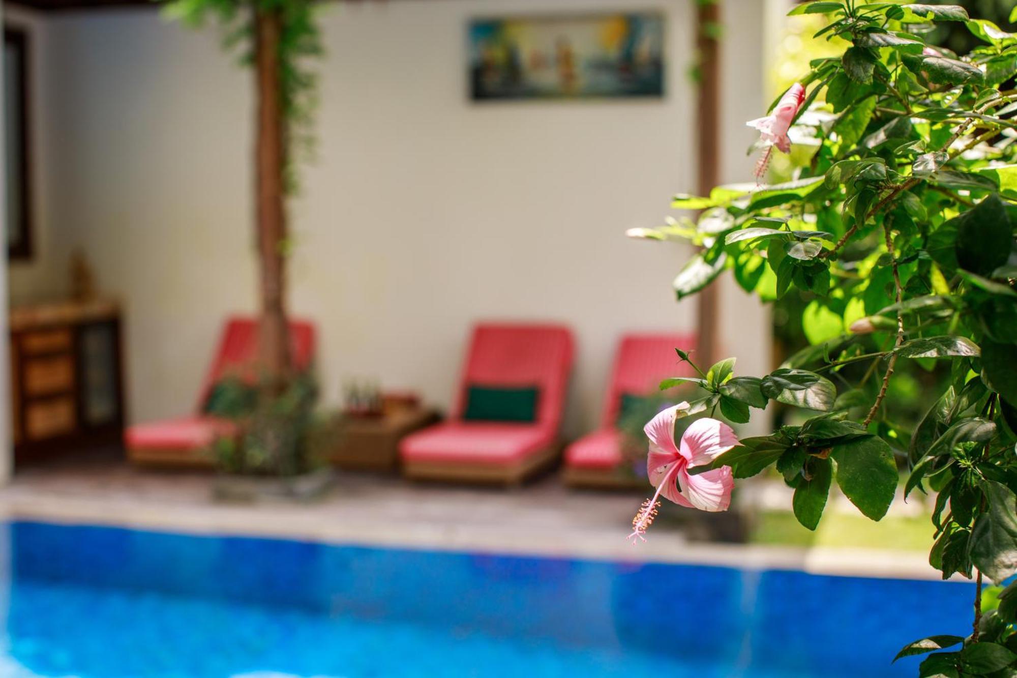 Delight Art * Seminyak (Bali)