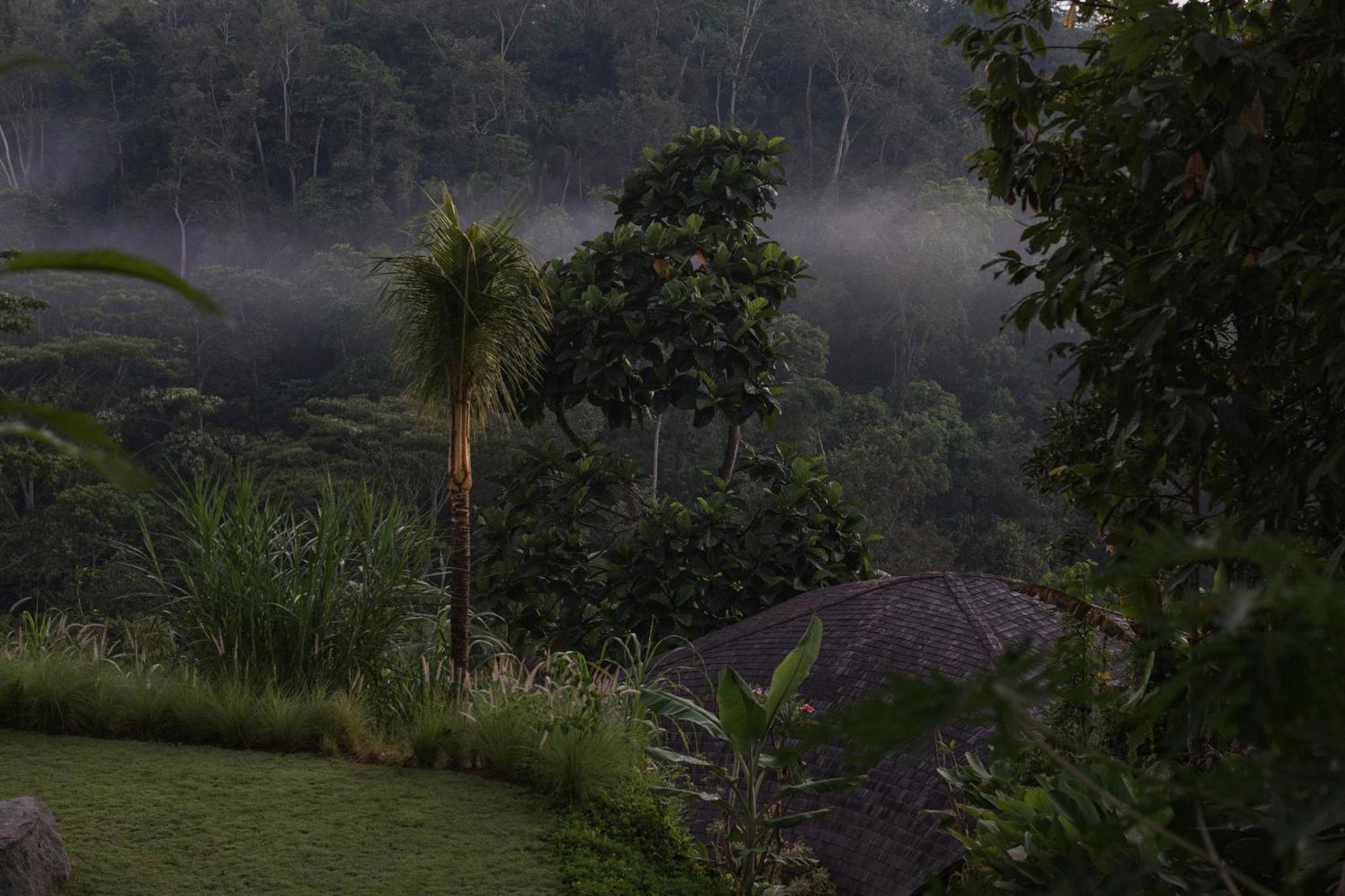 Belalu Bali Boutique & Experience Villa Ubud (Bali)
