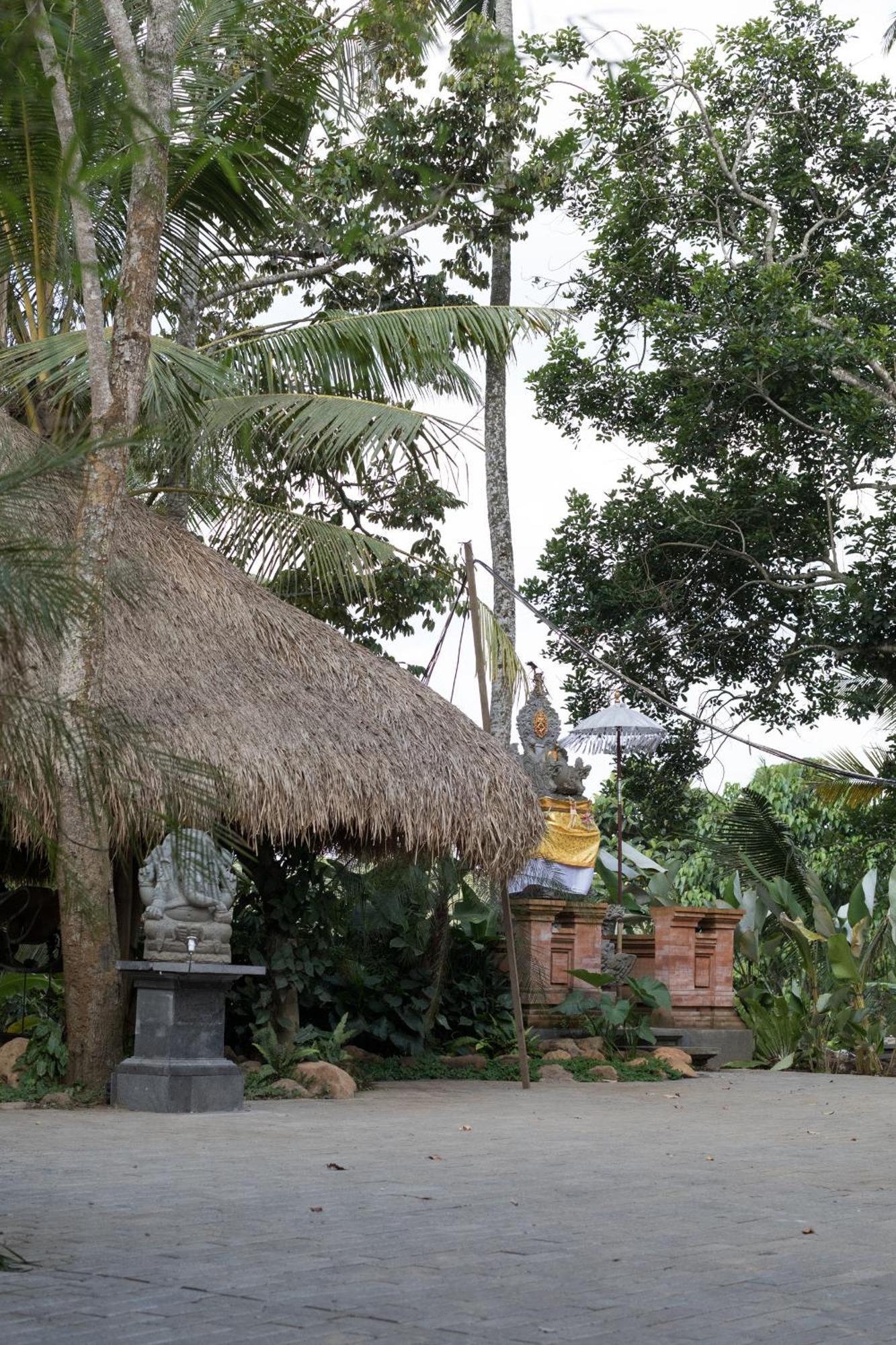 Belalu Bali Boutique & Experience Villa Ubud (Bali)