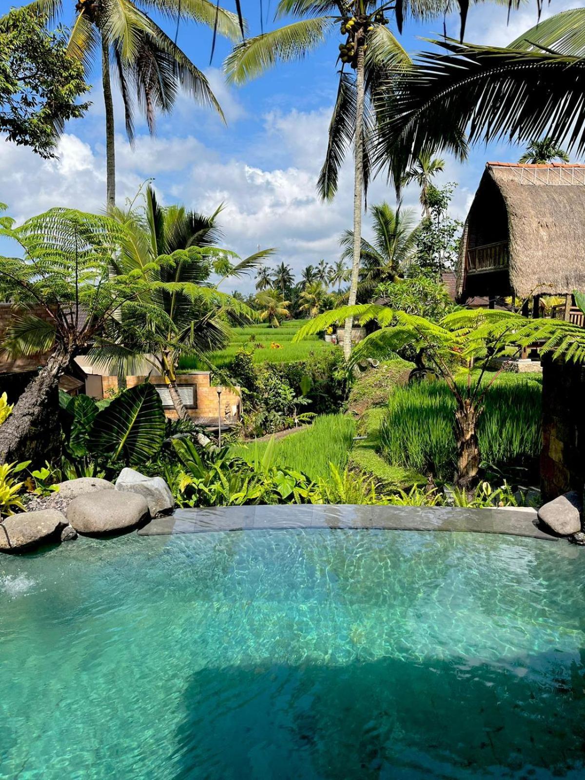 Sebatu Eco Tegallalang (Bali)