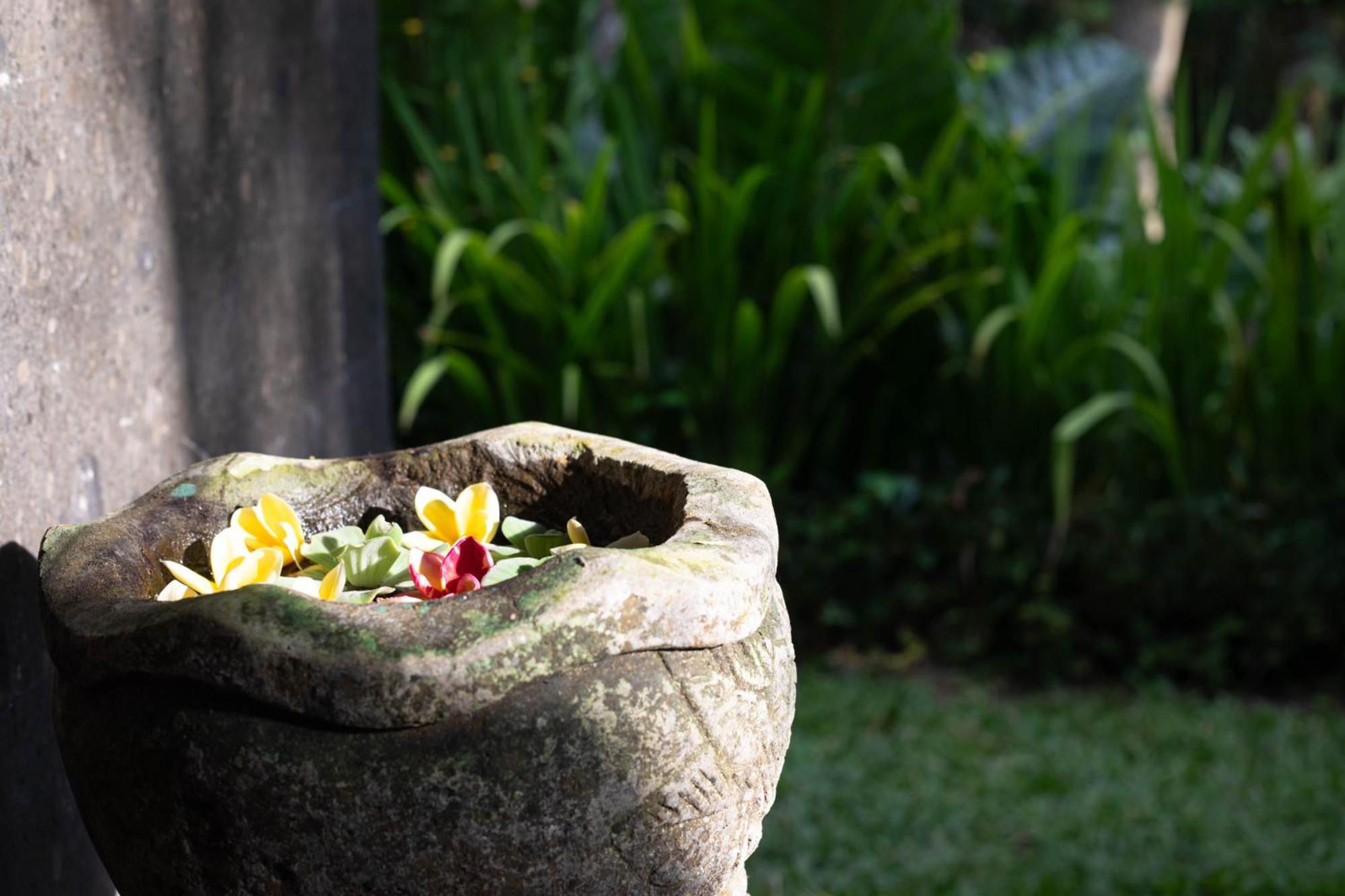 Suara Air Luxury Villa *