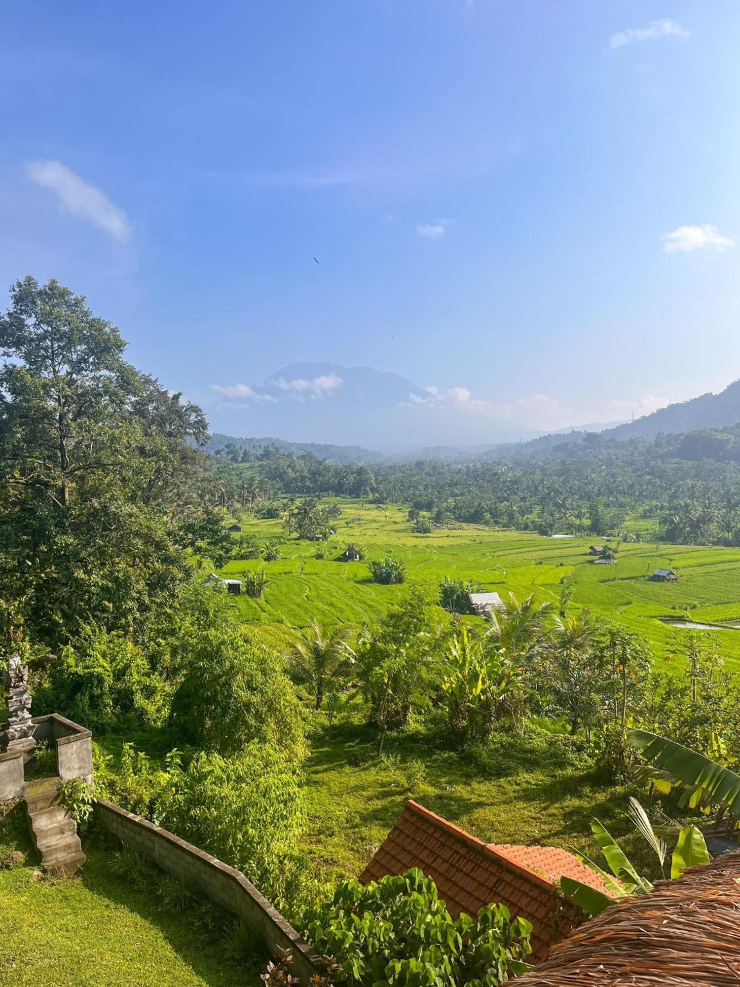 Lumbung Ayu Sari & Homestay Karangasem (Bali)