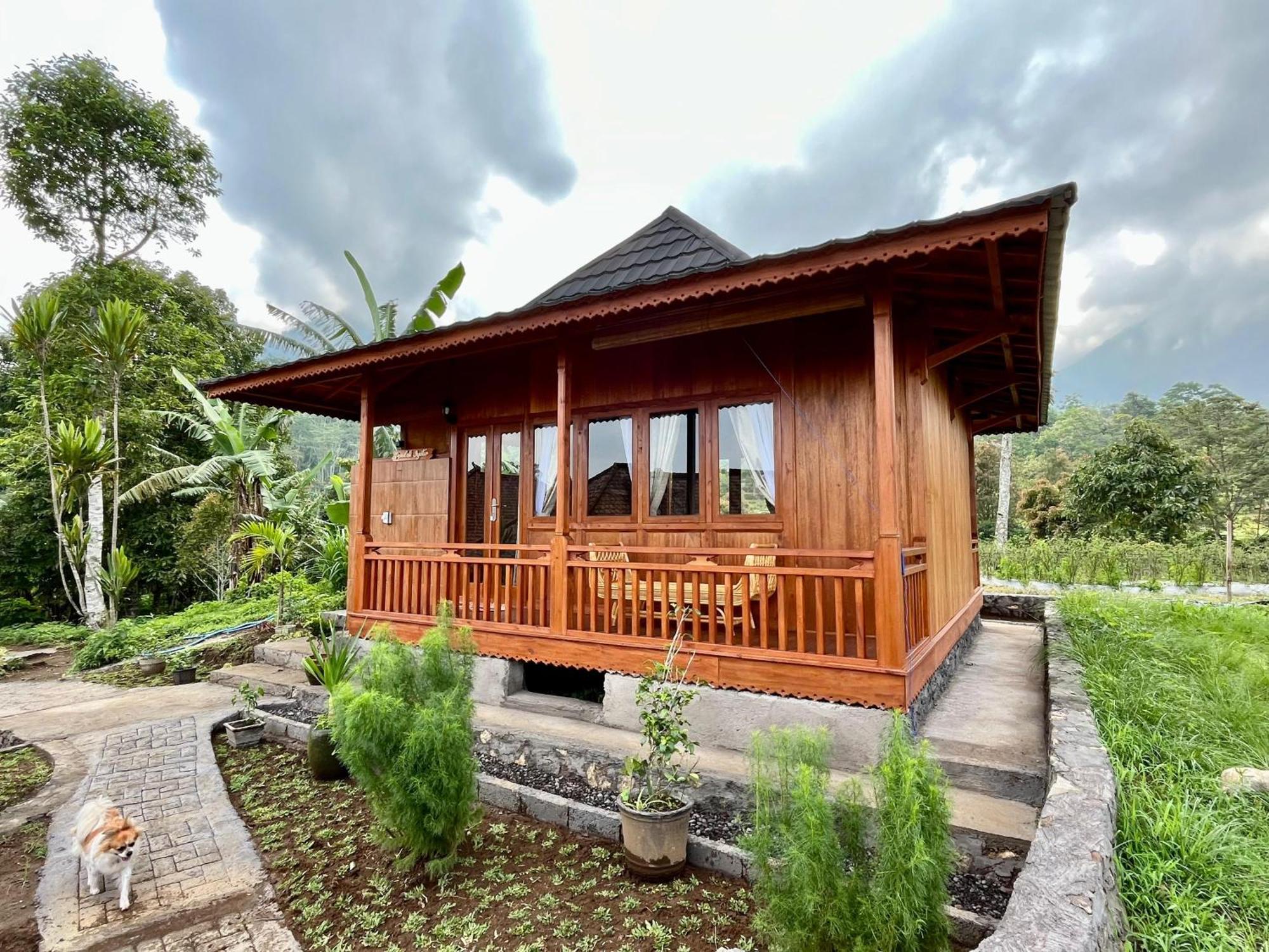 Manigelang 2* Munduk (Bali)