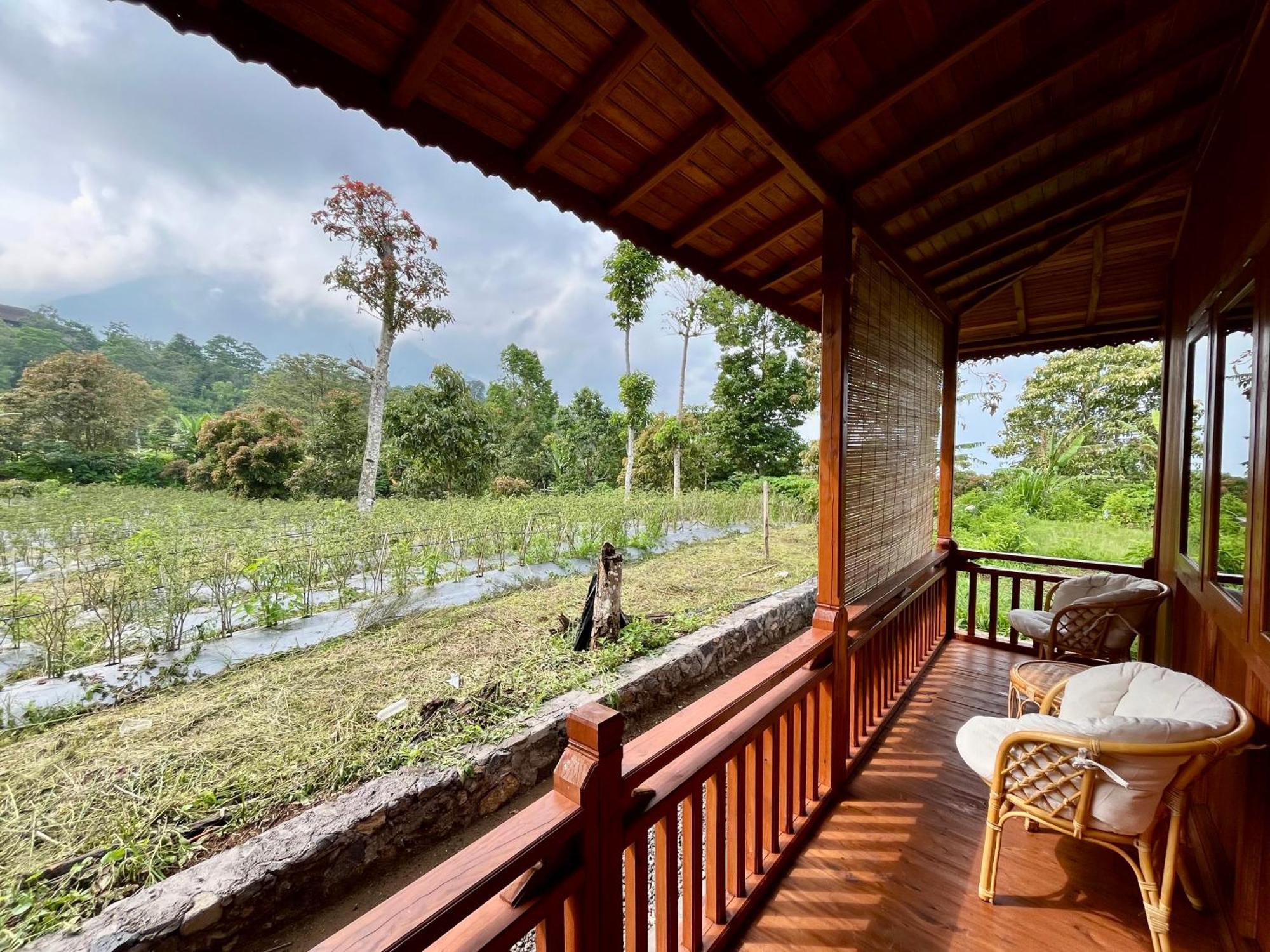 Manigelang 2* Munduk (Bali)