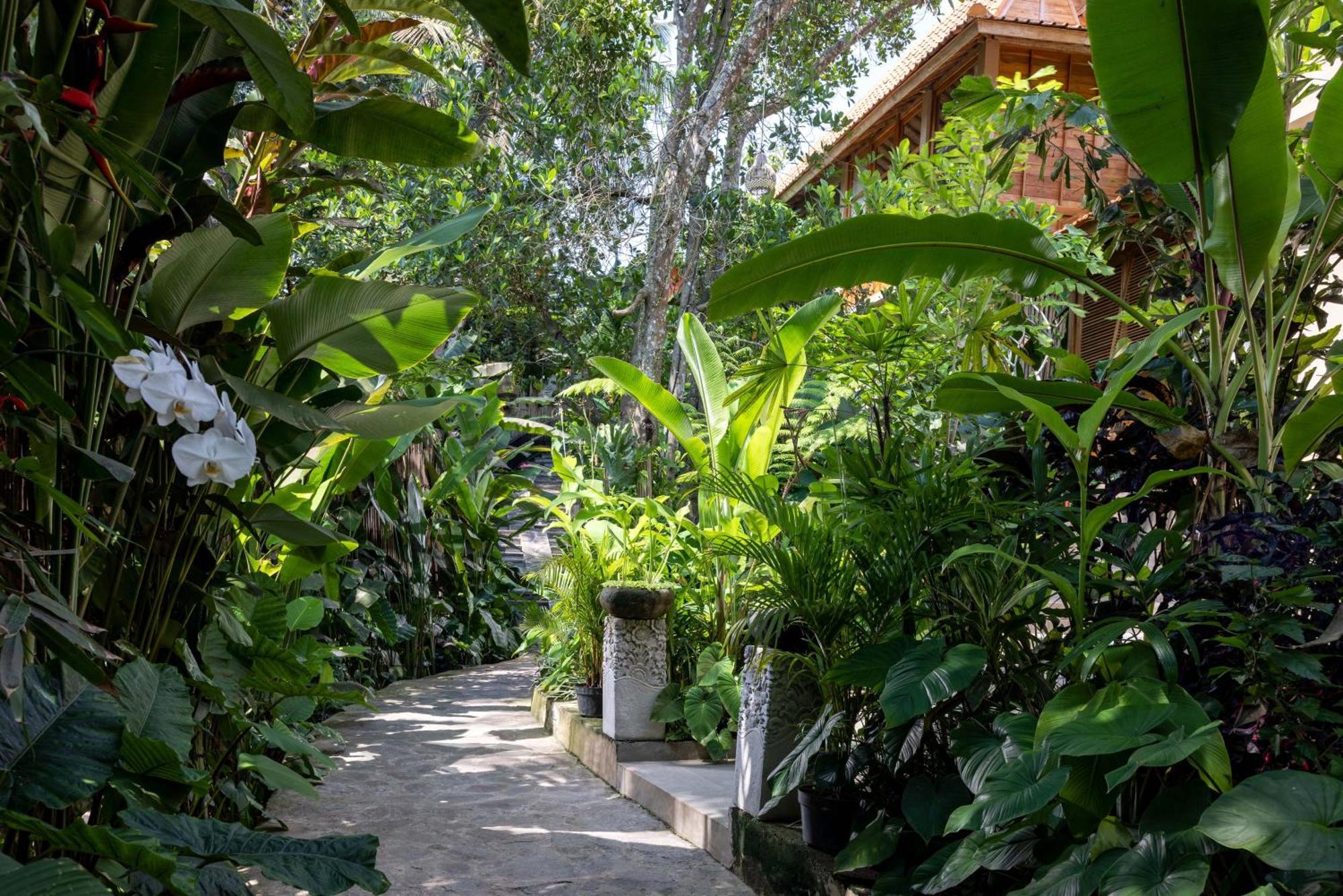 Hotel The Kalyana Ubud (Bali)