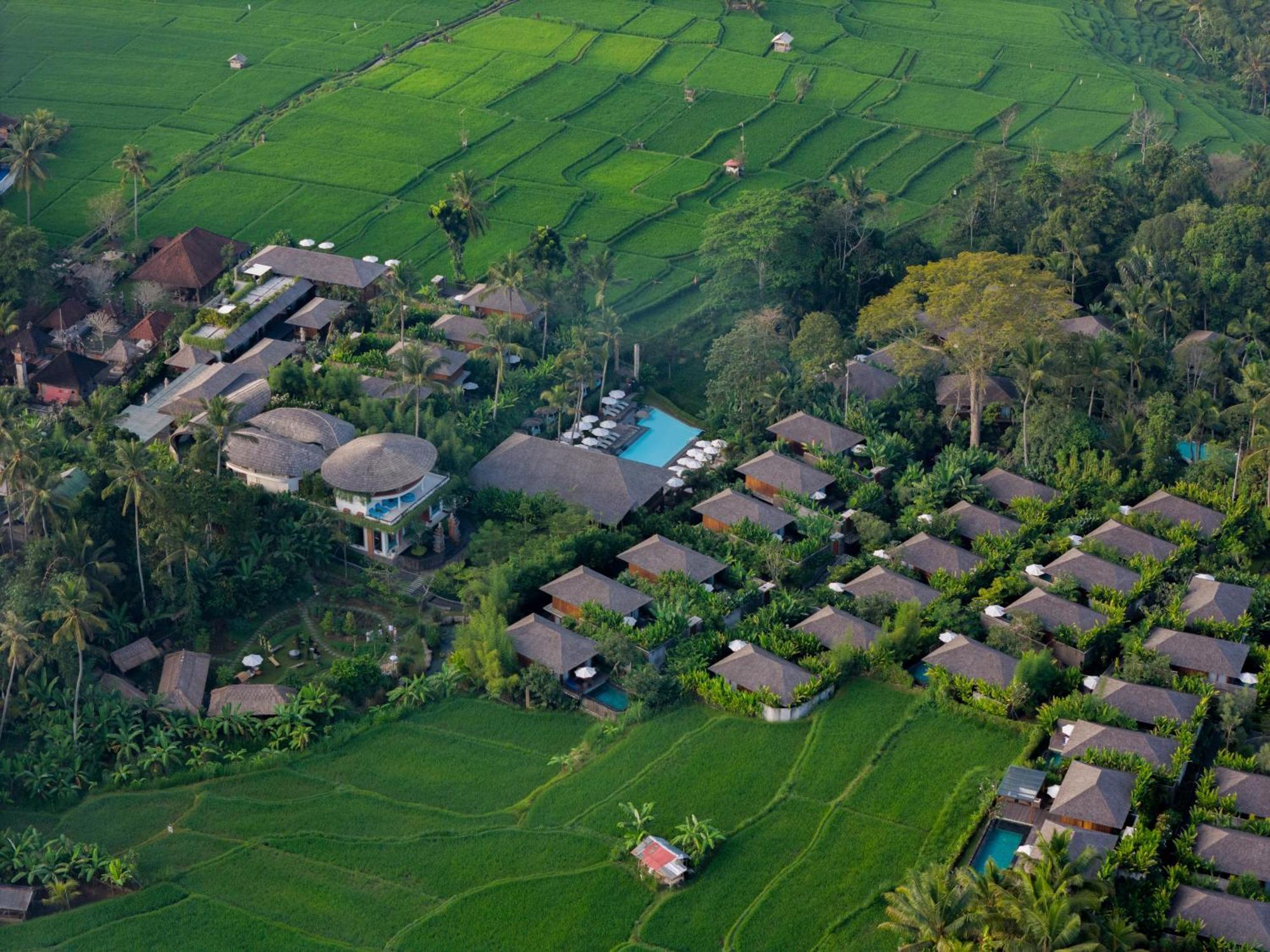 Kappa Senses Ubud (Bali)