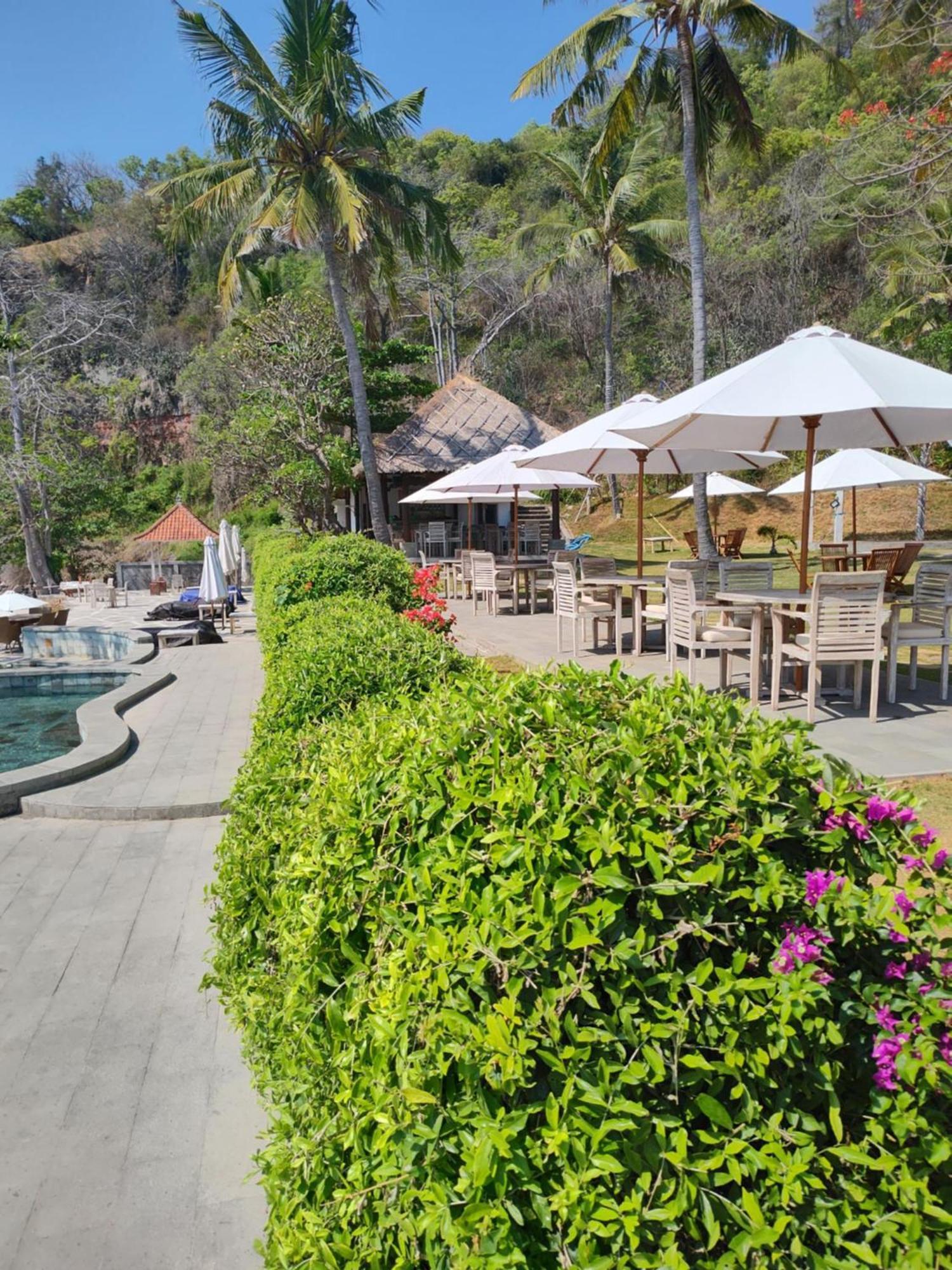 Spacious Private Pool Apartment-beachside Apartment *