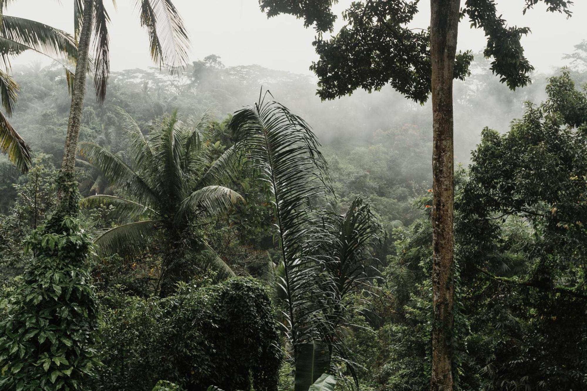 The Iyang Hotel Ubud (Bali)
