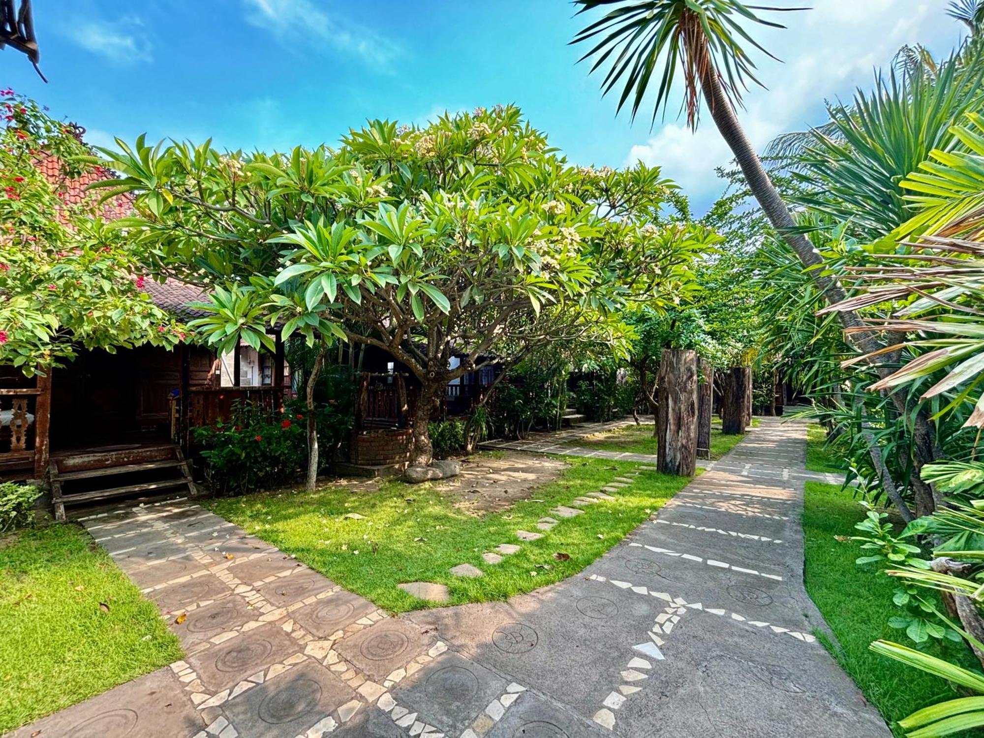 Classic Guest house Amed (Bali)
