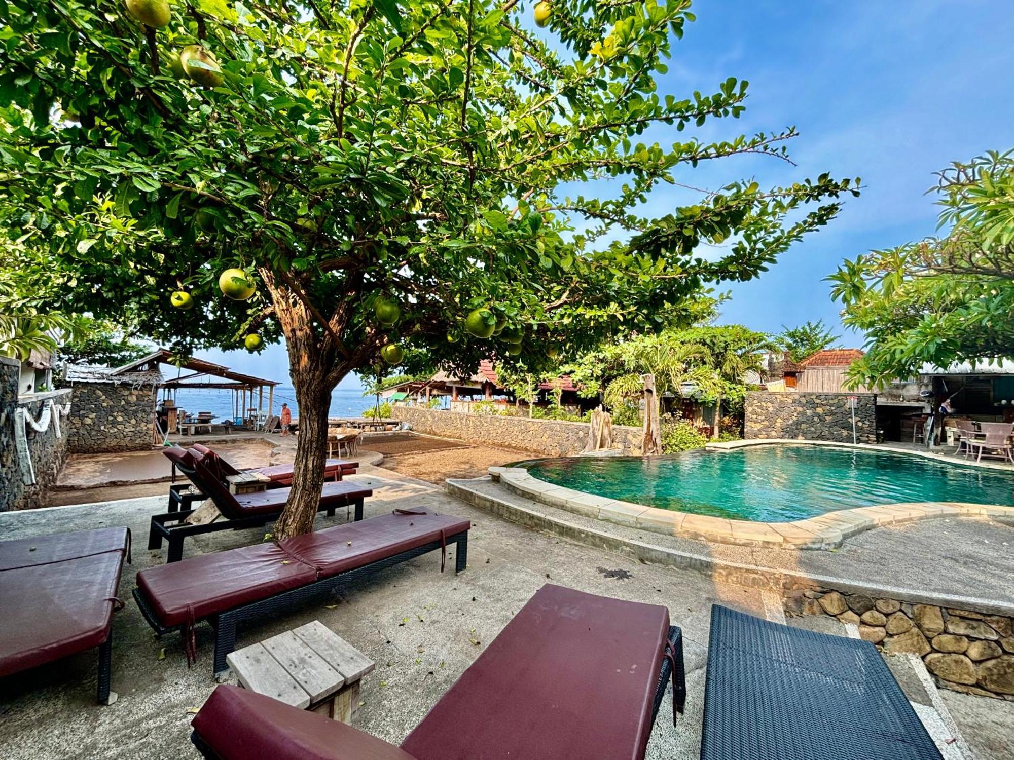 Classic Guest house Amed (Bali)
