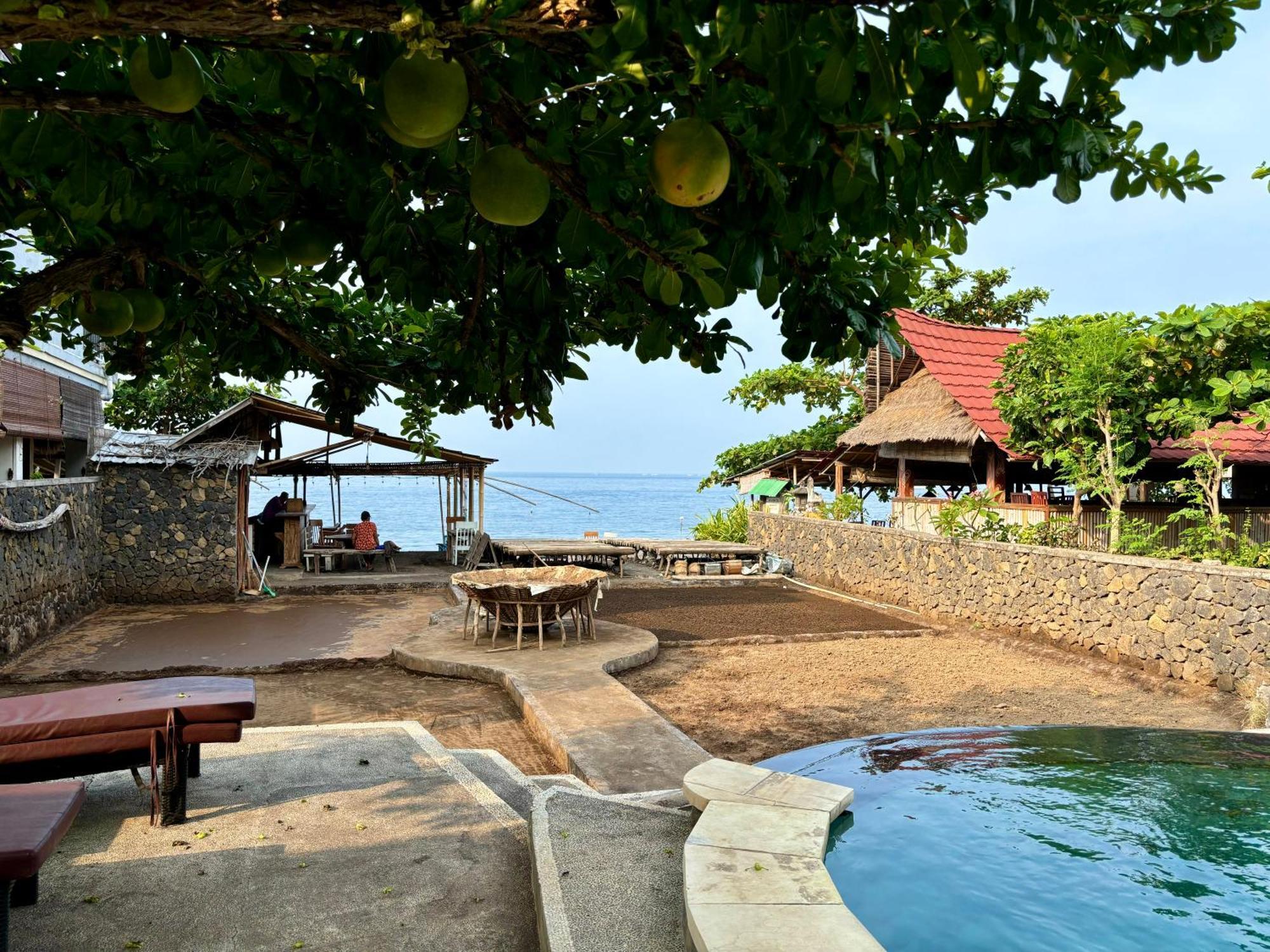 Classic Guest house Amed (Bali)