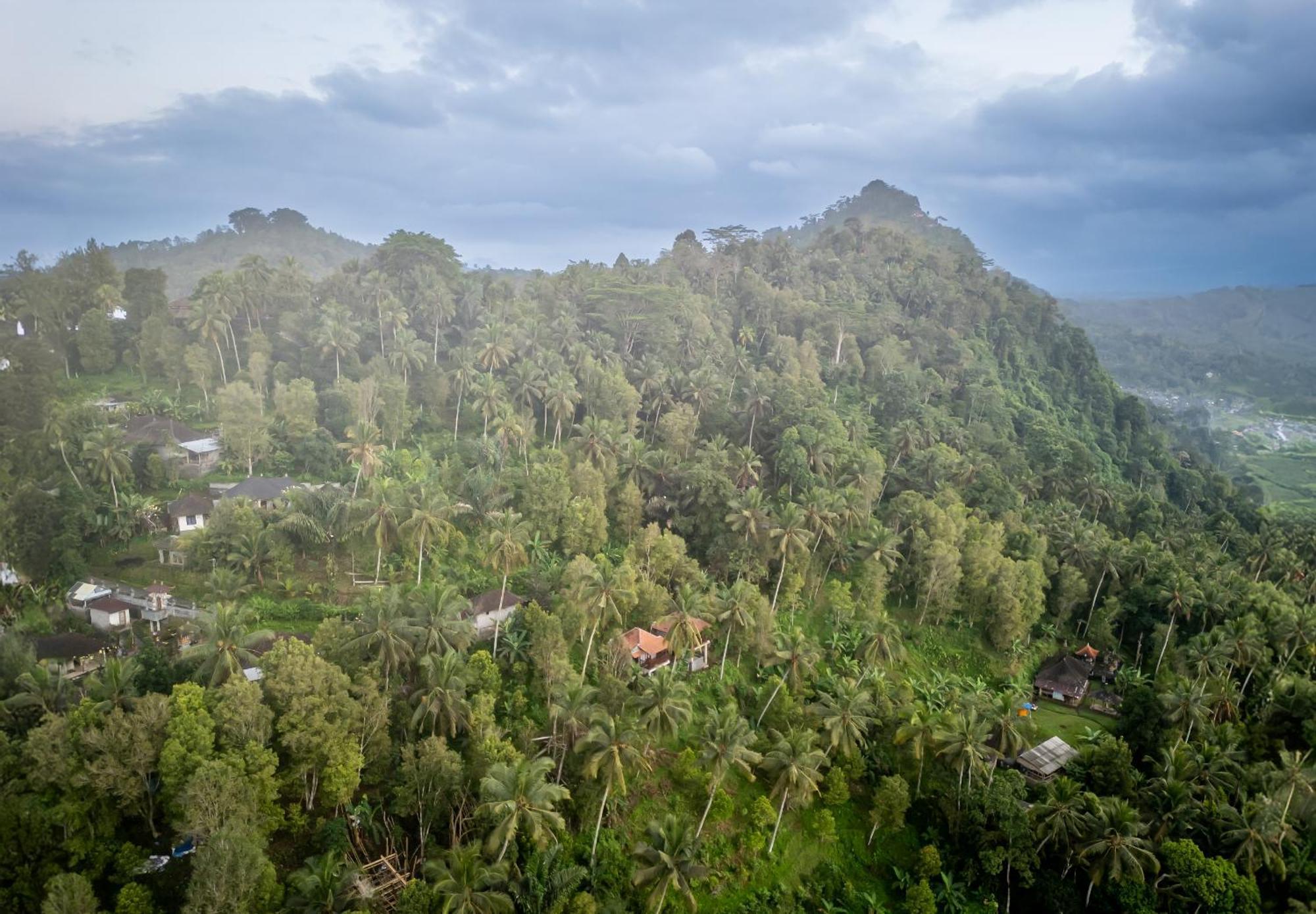 Cemara Hill By Samhita Bali * Silebeng